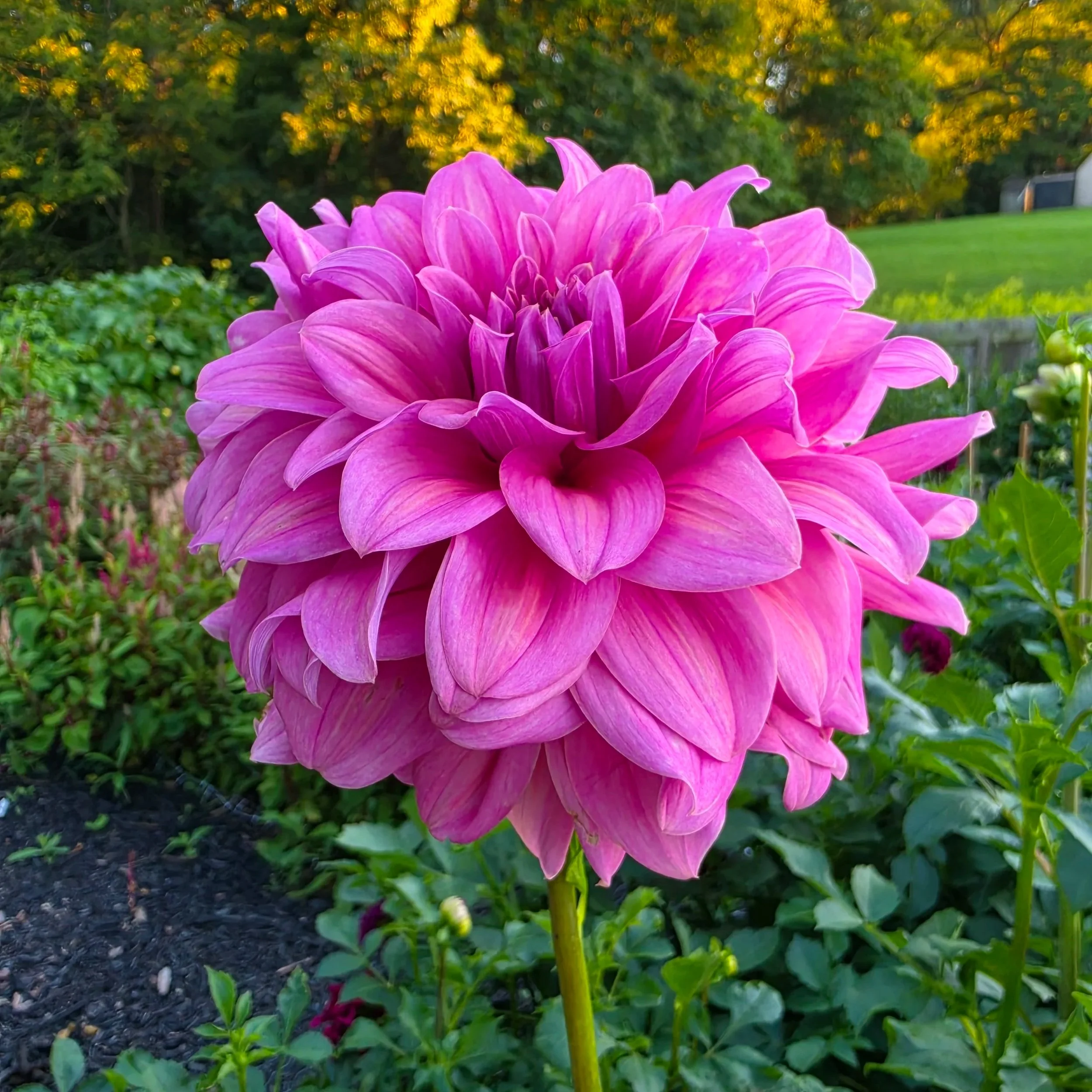 20260906_190846.jpg