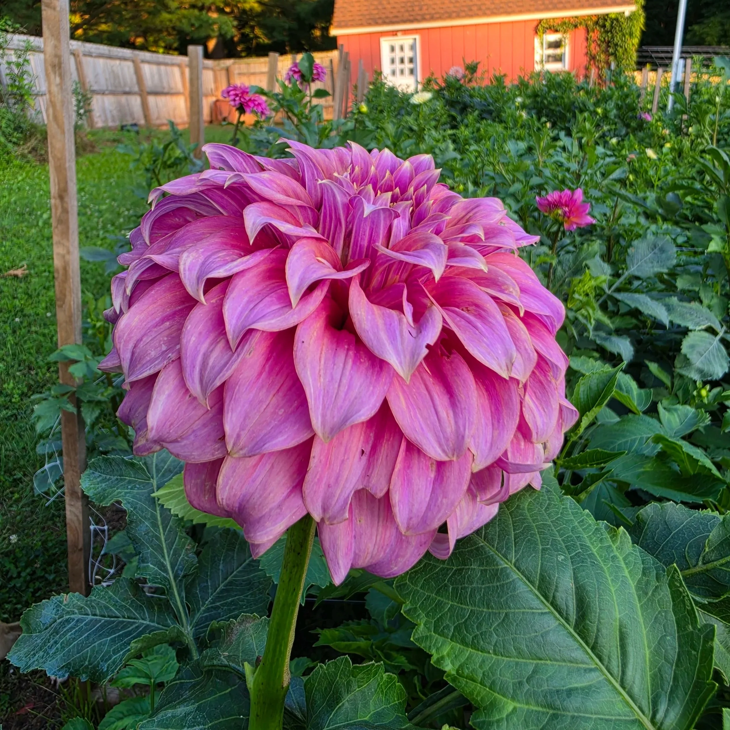 20260713_194640.jpg