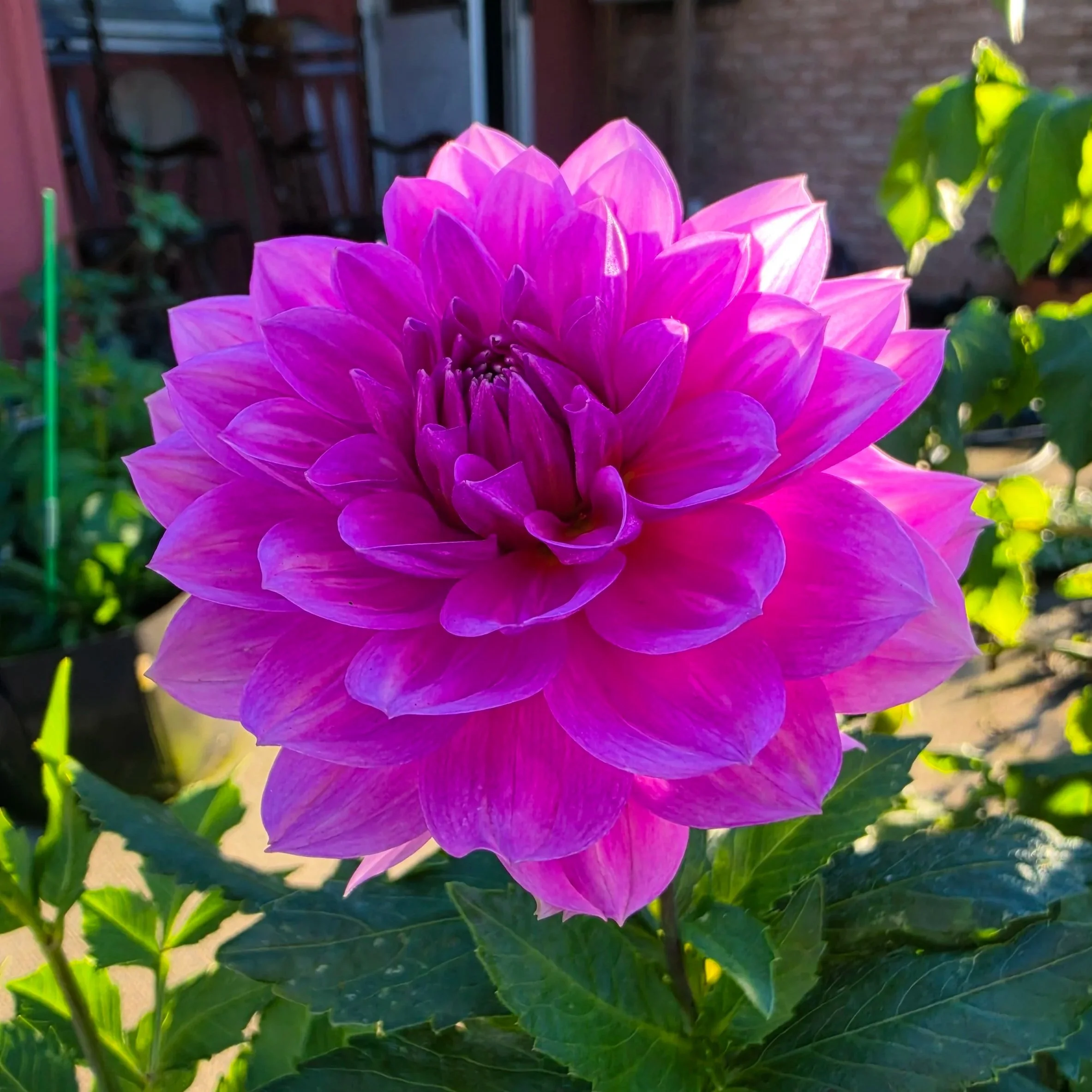 20261020_171047.jpg