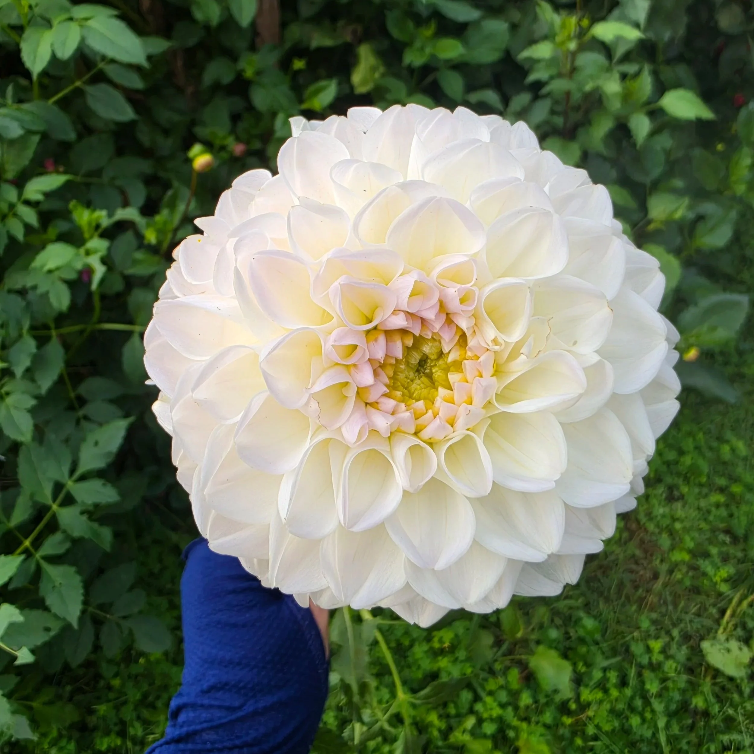 20260923_171001.jpg