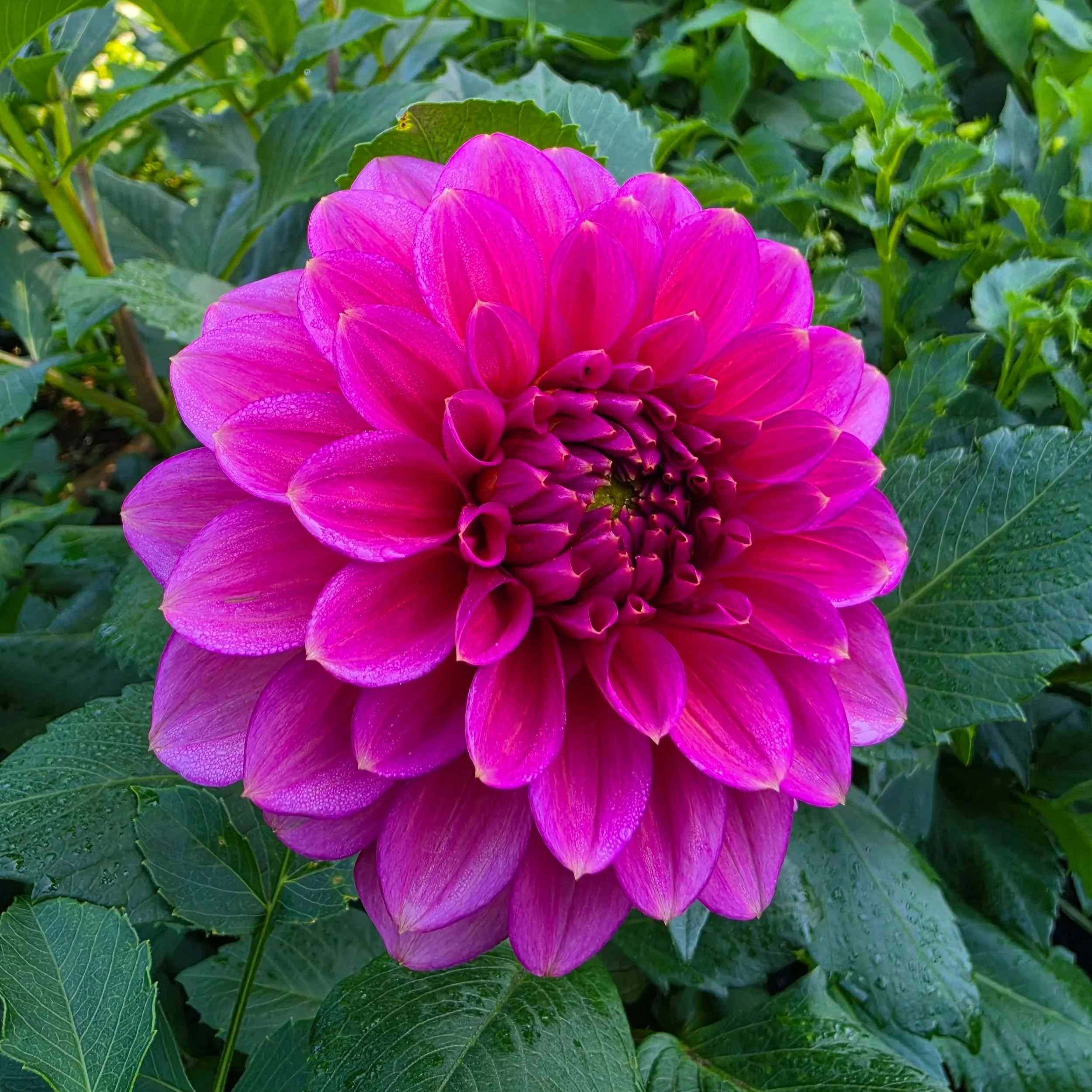 20260829_093546.jpg