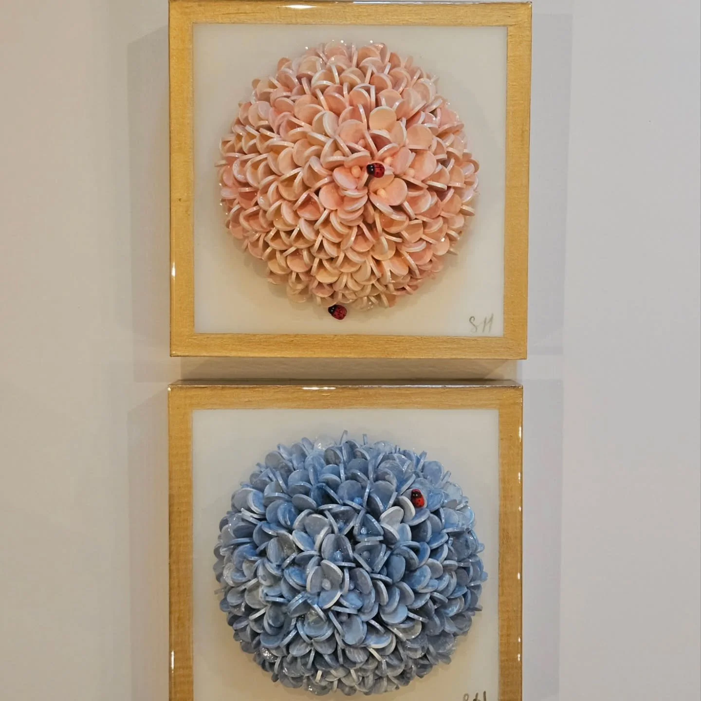 These sweet blossoms are heading to their new home in South Carolina today.  Safe travels girls!