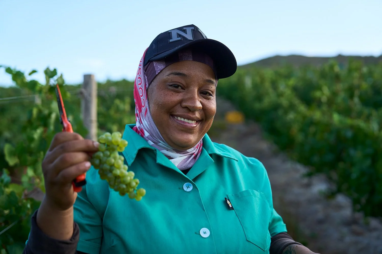 De Wetshof Estate / Content - Stills