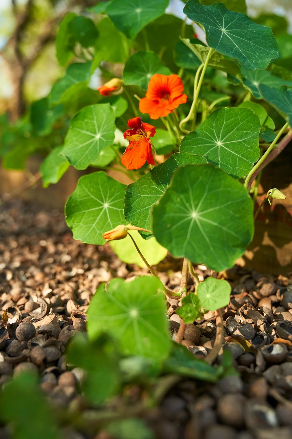 cold fire collabs_summerfieldretreat_hospitality_34.jpg