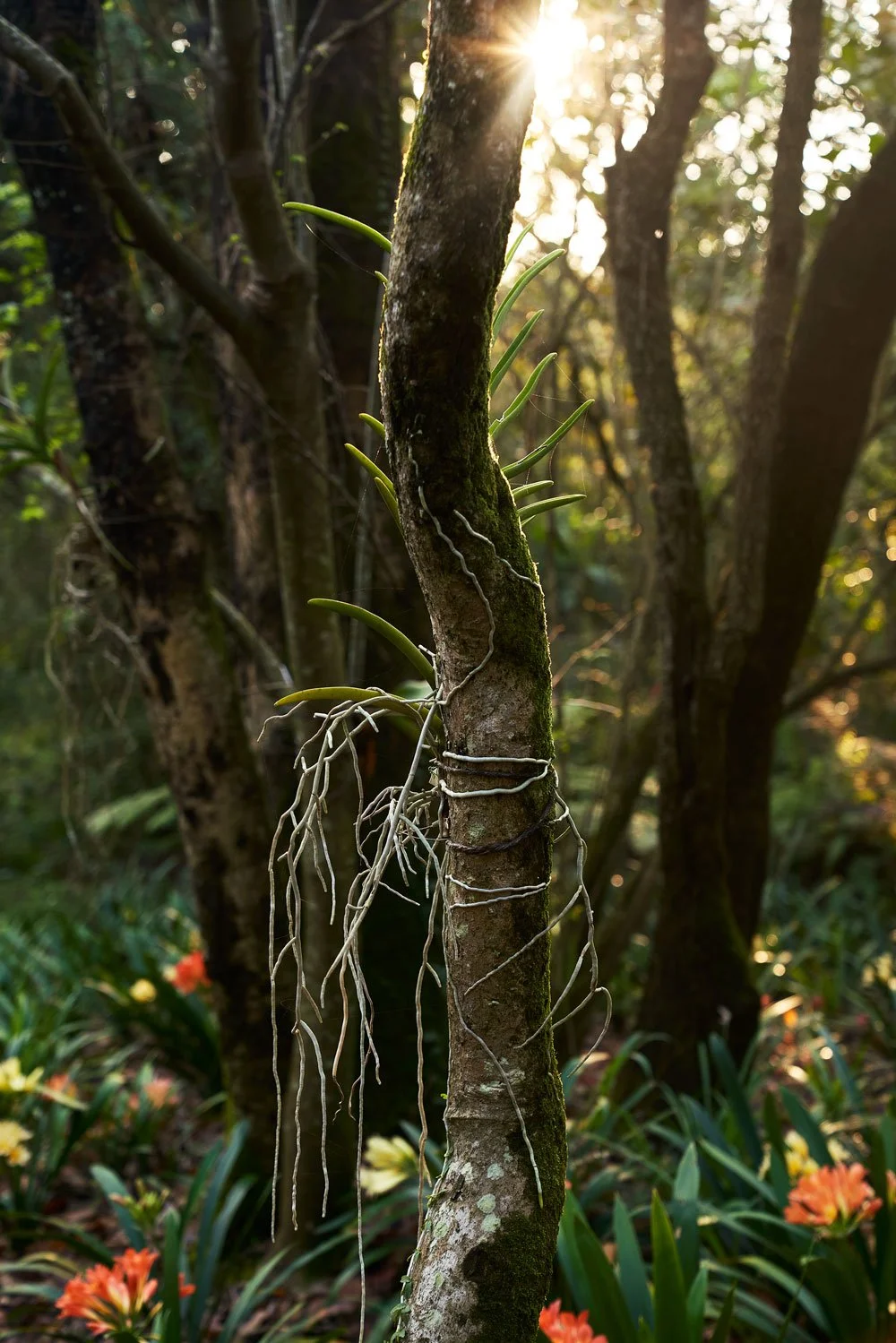 cold fire collabs_summerfieldretreat_hospitality_17.jpg