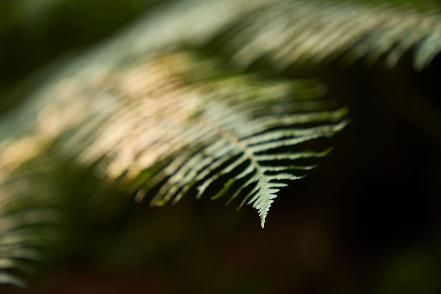 cold fire collabs_summerfieldretreat_hospitality_21.jpg