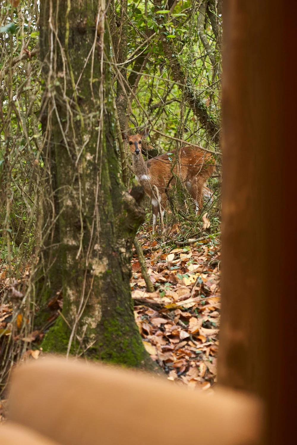 cold fire collabs_summerfieldretreat_hospitality_13.jpg