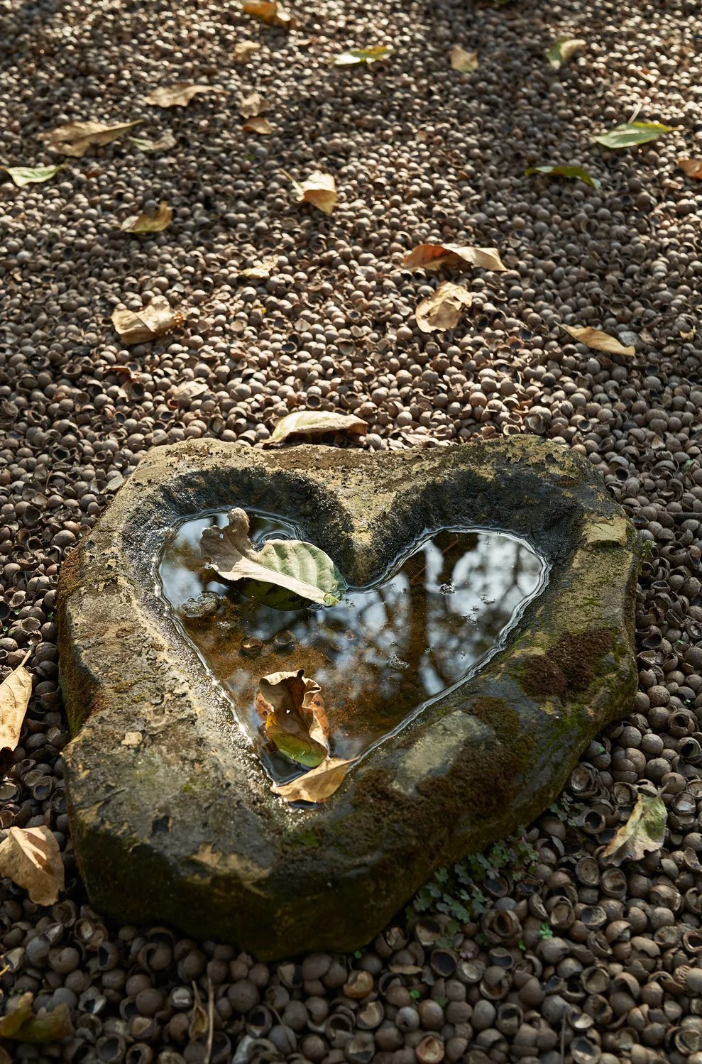 cold fire collabs_summerfieldretreat_hospitality_33.jpg