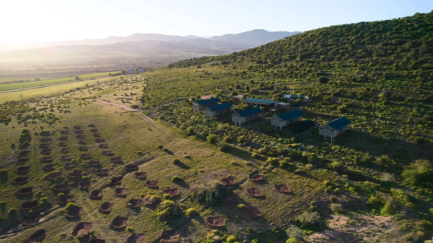 DJI_0290.jpg