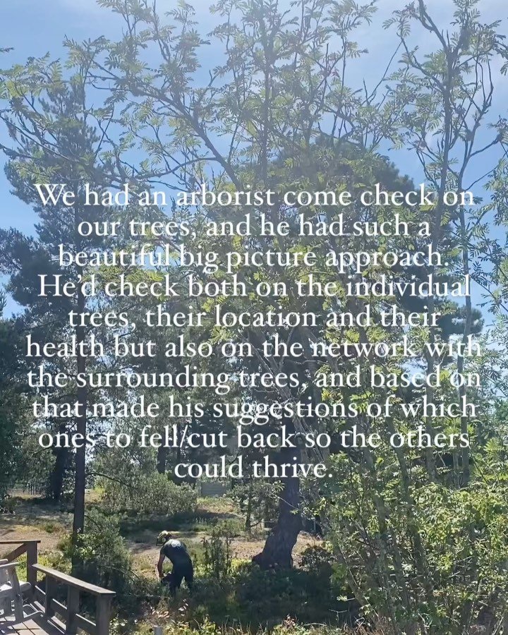 Lessons from nature and its caretakers 🌱