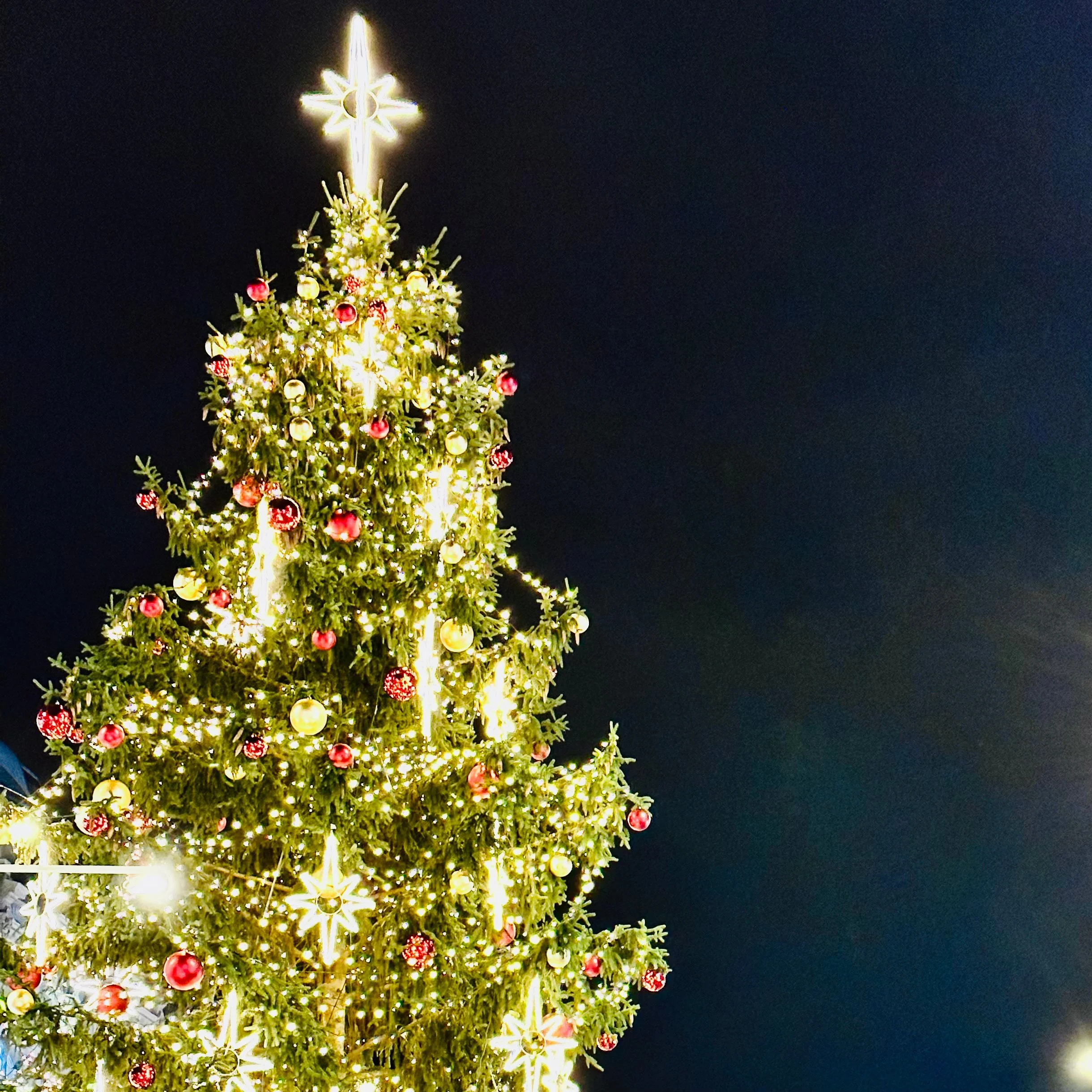 Christmas Tree.jpg