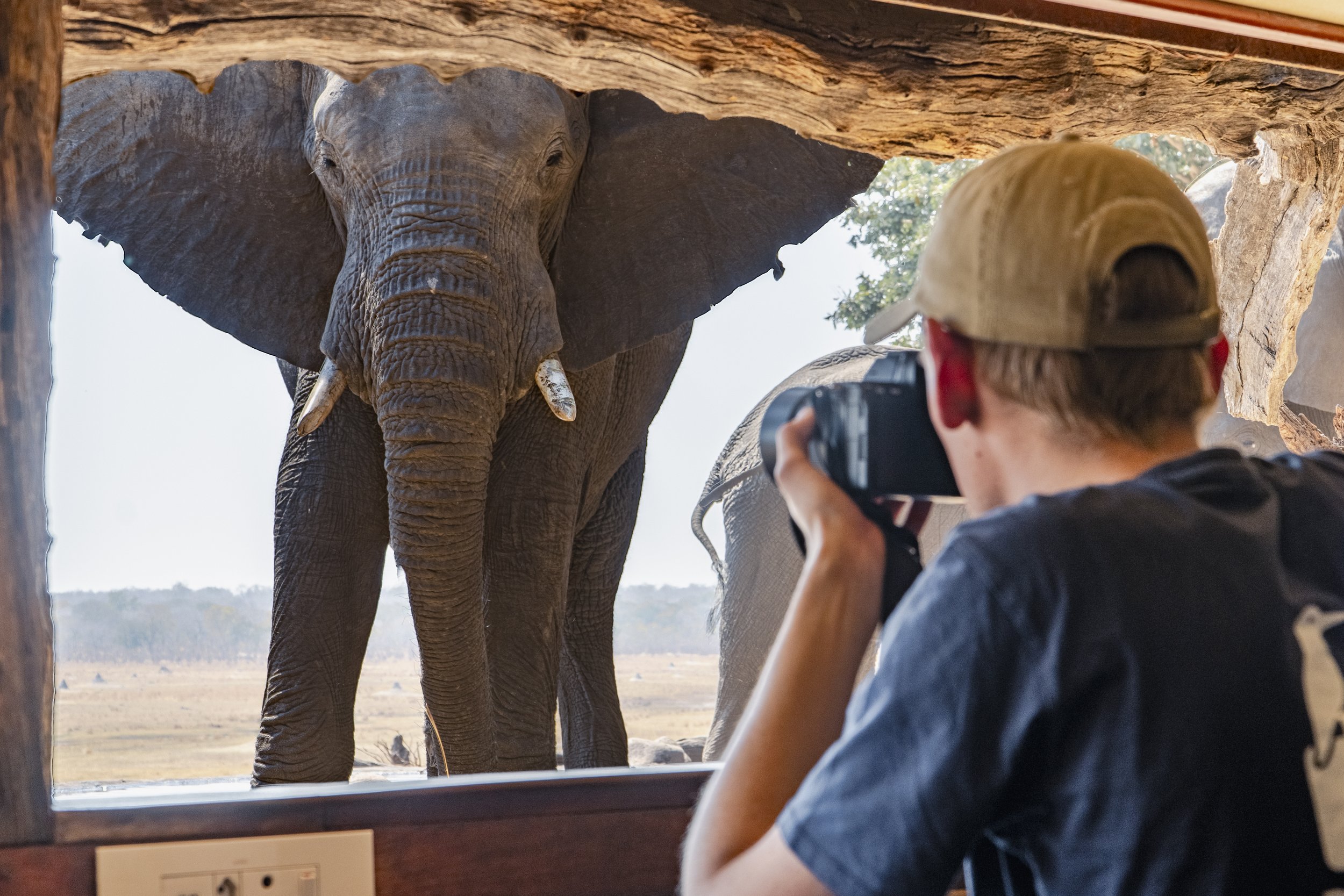 A man taking photos of an elephant.