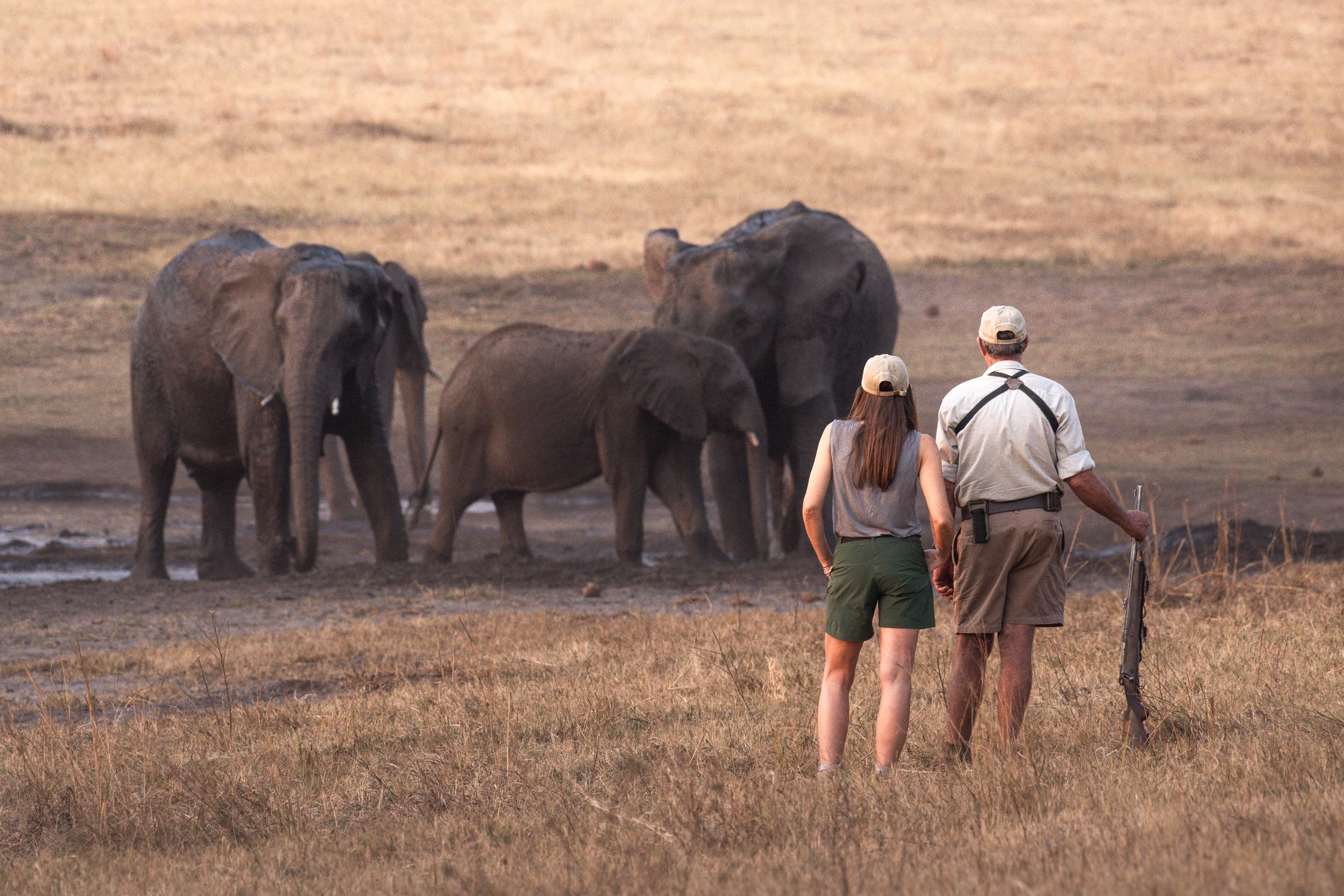A couple standing near the elephants in Safari.