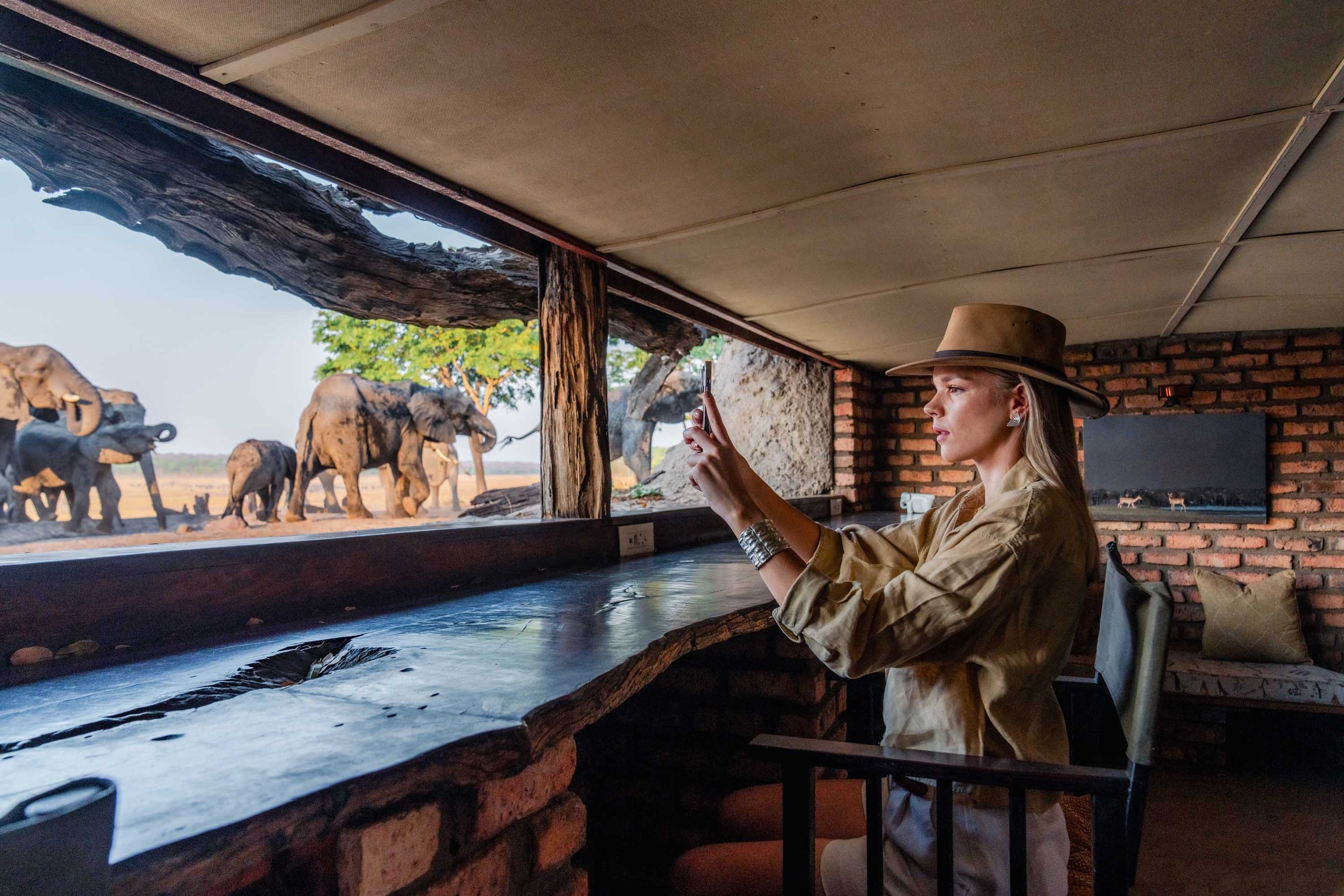 A woman taking some photos of the elephants.