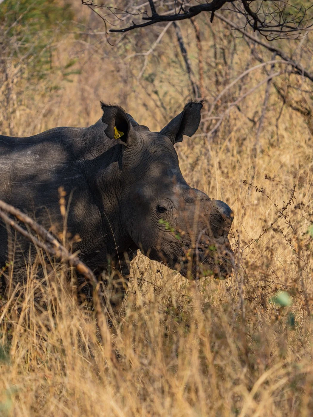 Where Time Stands Still