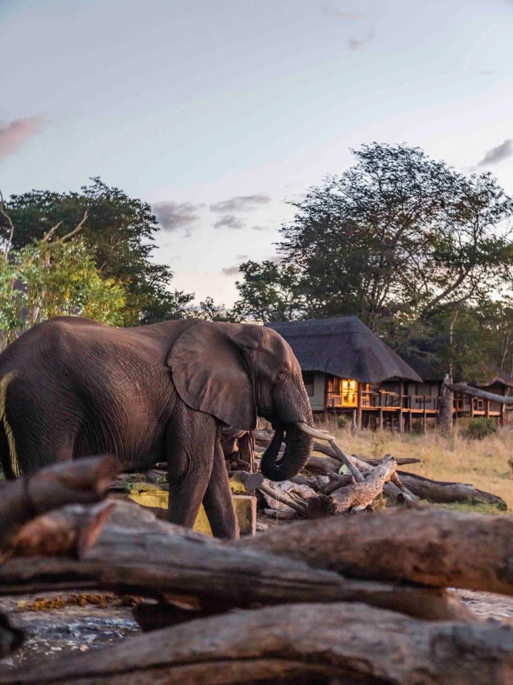 It&rsquo;s all about Khulu Bush Camp ❤️&zwj;🔥
&bull;
We have had amazing support at Sable Valley this year, and as a thank you we are extending Sable Valley rates to any new bookings at Khulu Bush Camp for remainder of 2026!
&bull;
Khulu offers a sl