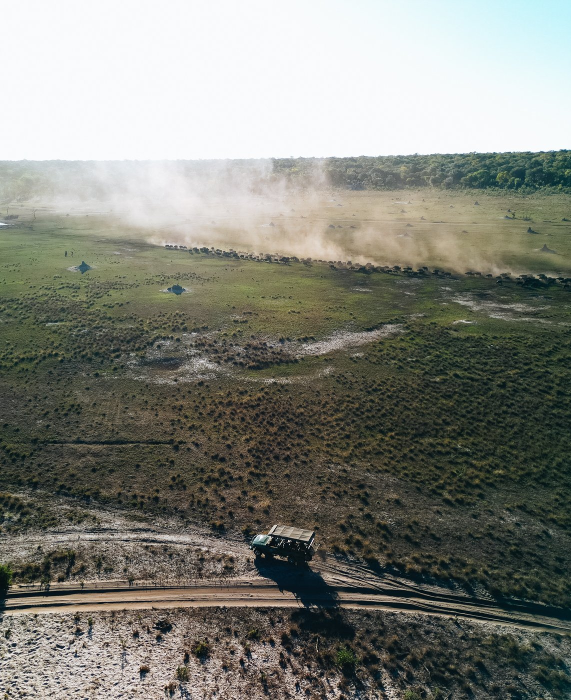 DJI_0784.jpeg