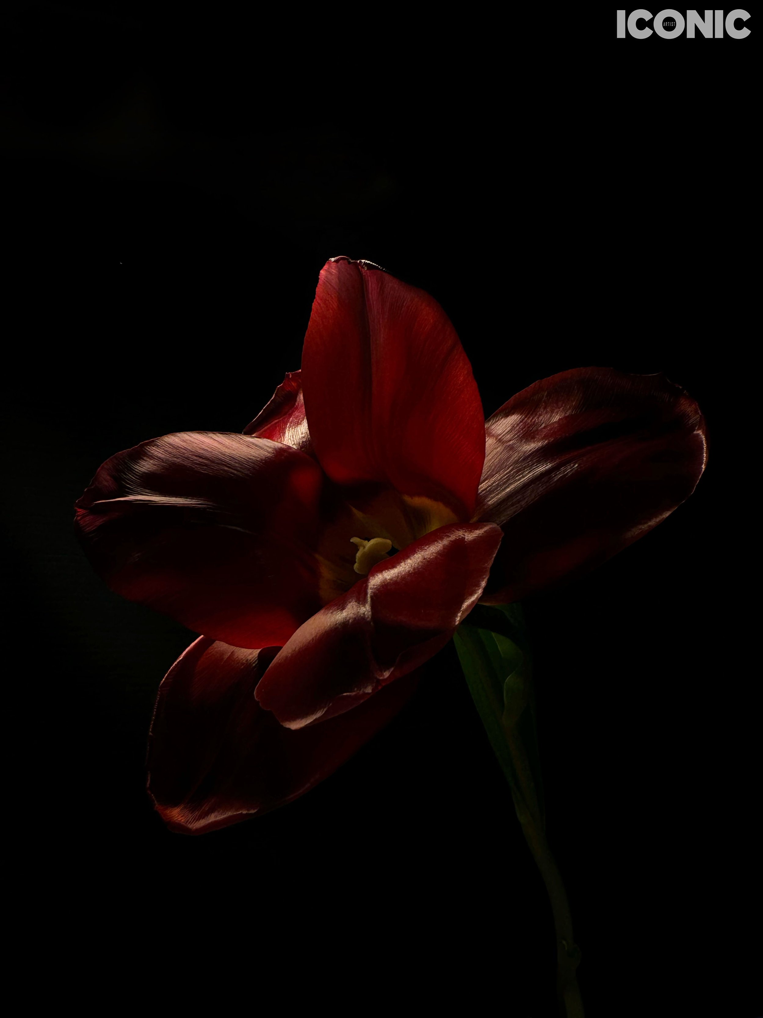PHOTO BY
Volha Tamashevich
_