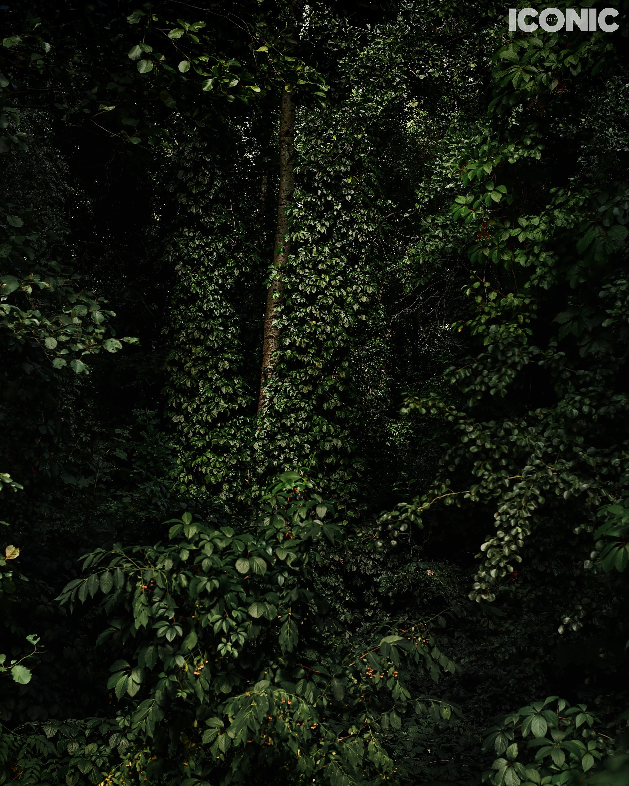 PHOTO BY
Tanya Yerko
.