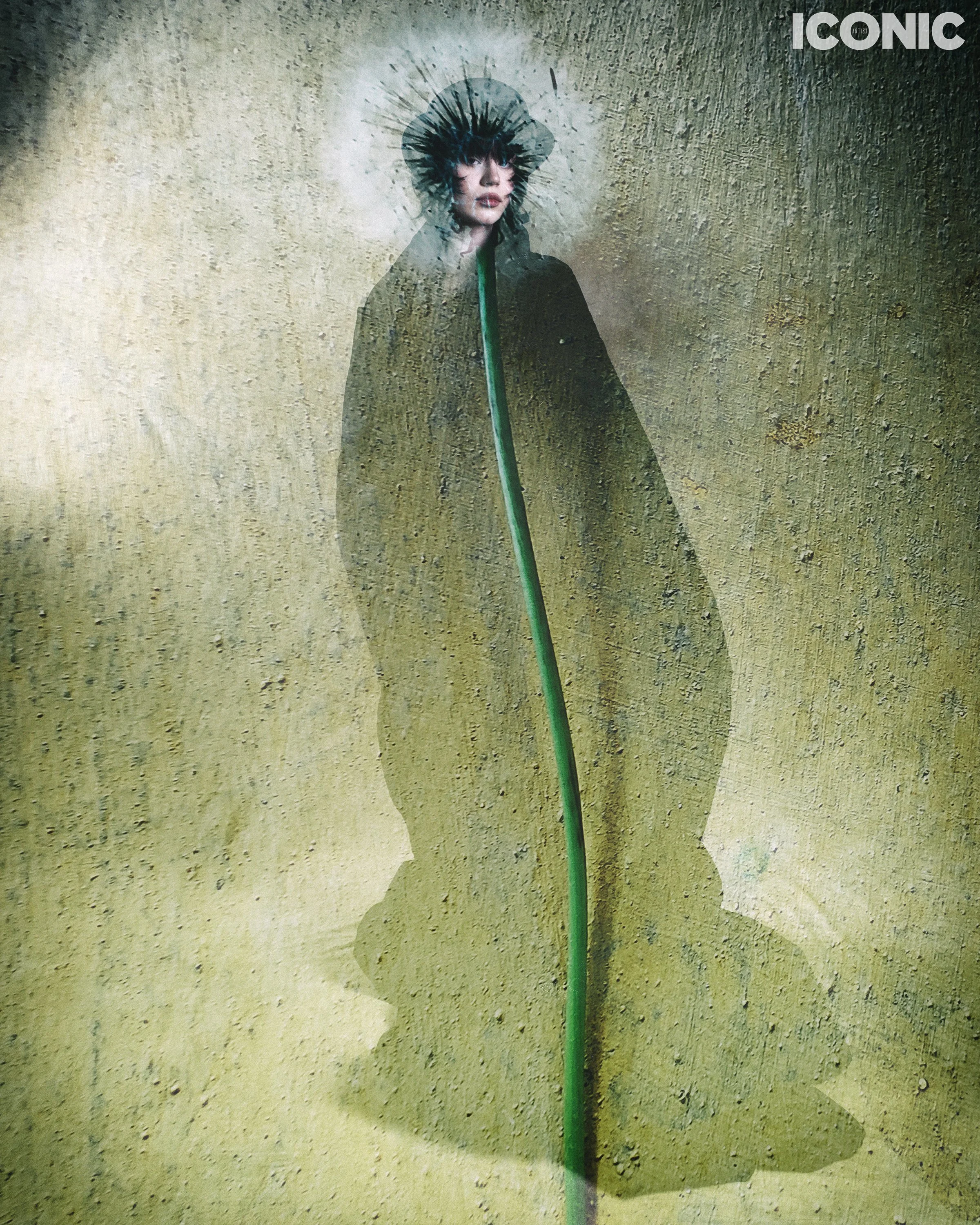 PHOTO BY
Dmitri Bordeniuc
.