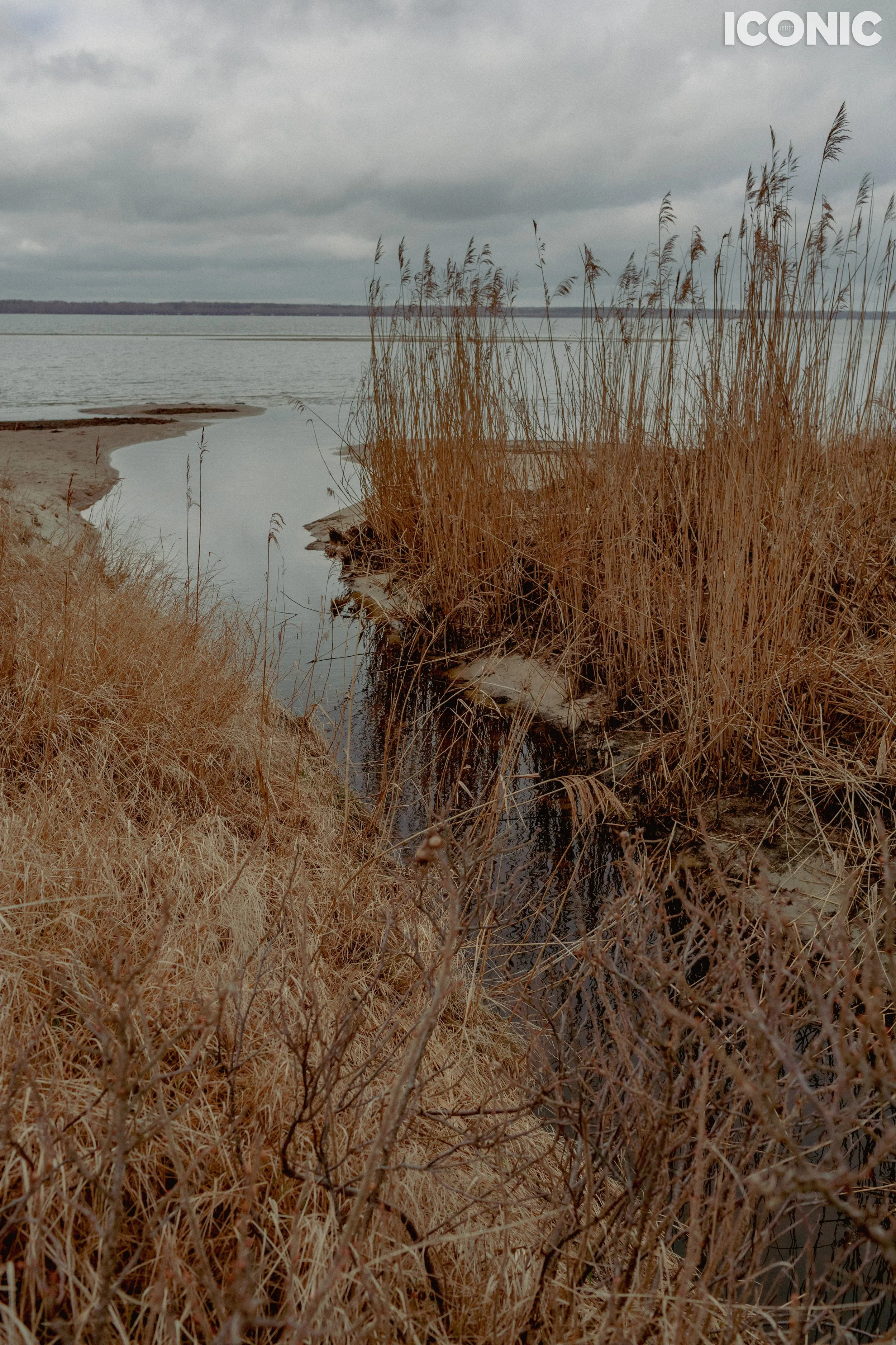 PHOTO BY
Igor Vatral
.