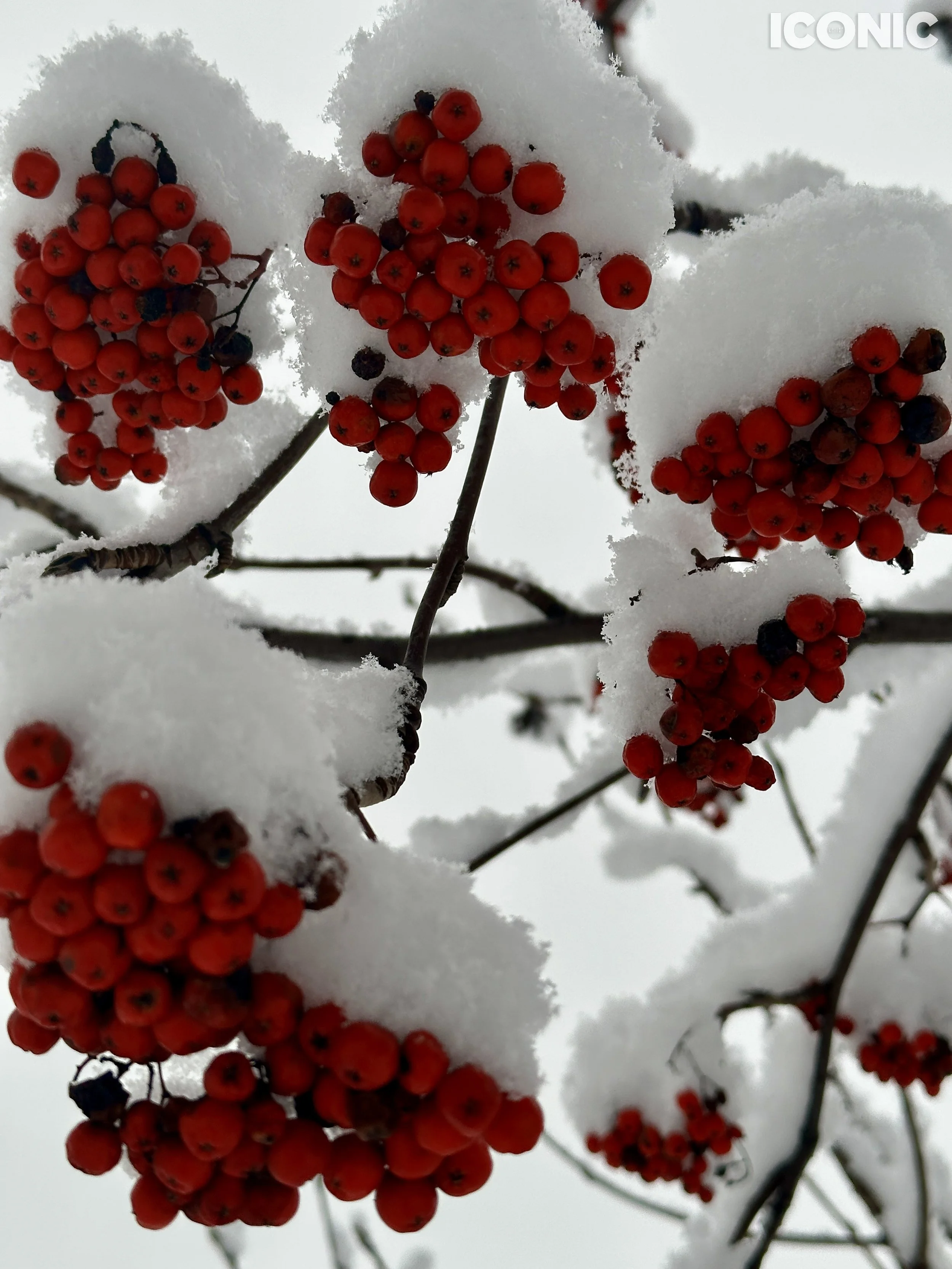 PHOTO BY
Marina Tanaeva
.