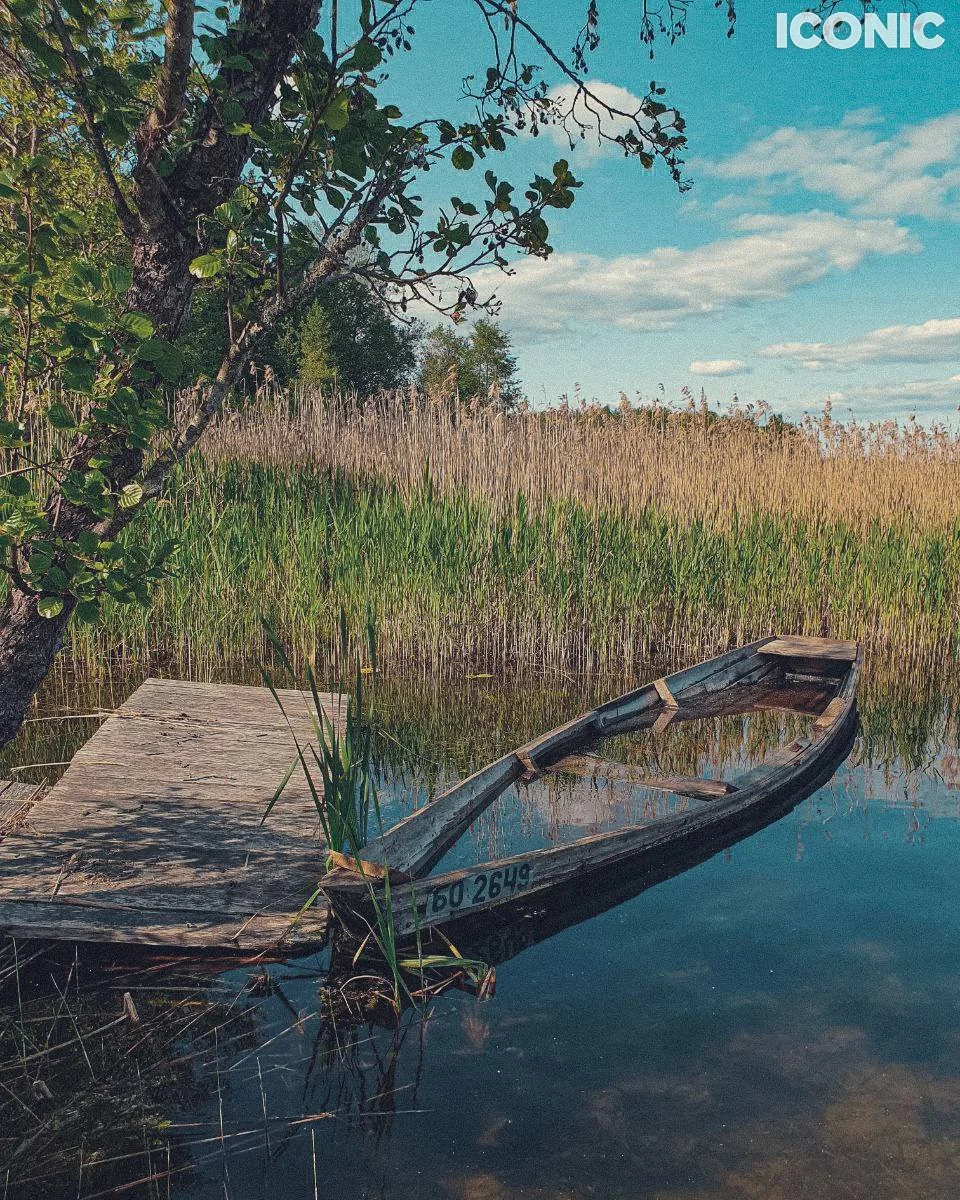 PHOTO BY
Olga Shishuk
.