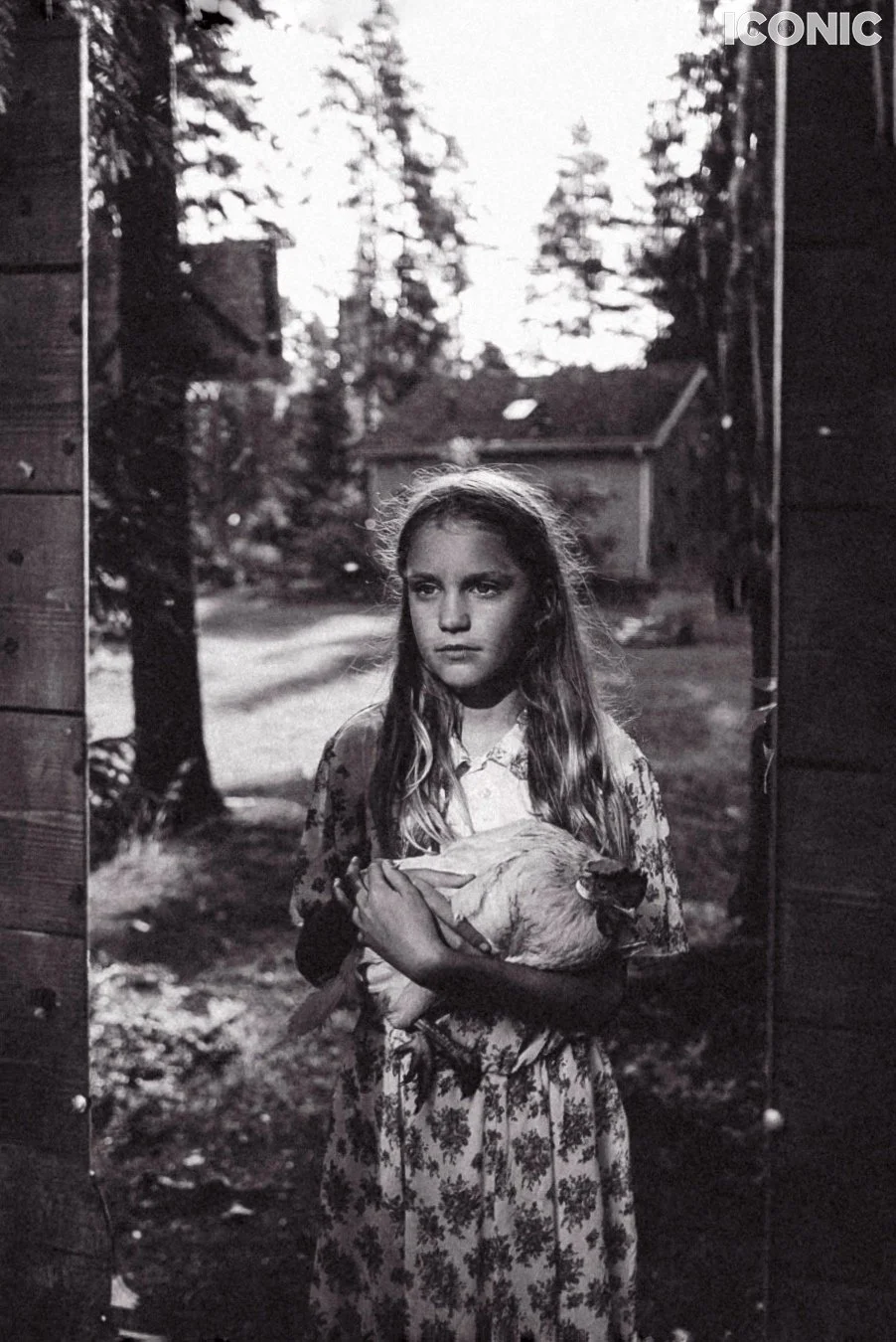 PHOTO BY
 Irina Lomova
.