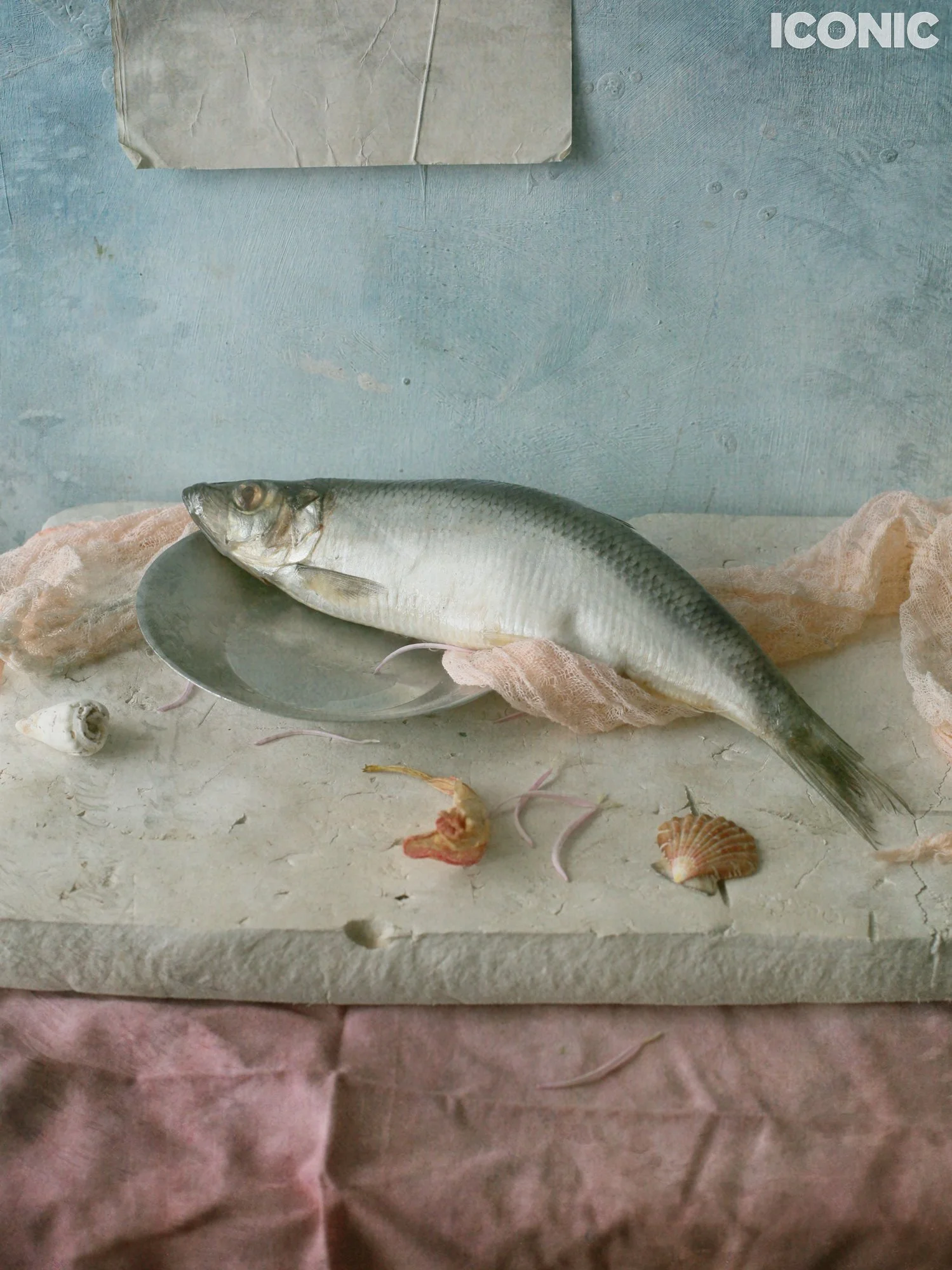 PHOTO BY
Masha Sapego
.