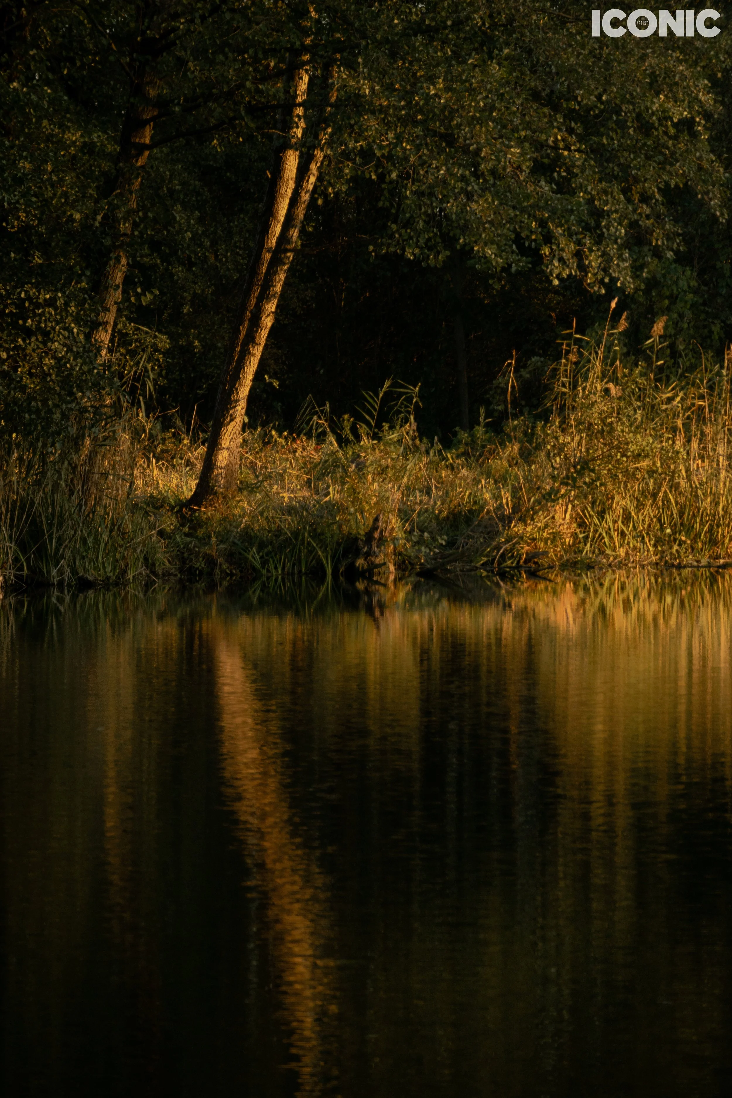 PHOTO BY
Katarzyna Kwiecińska
.