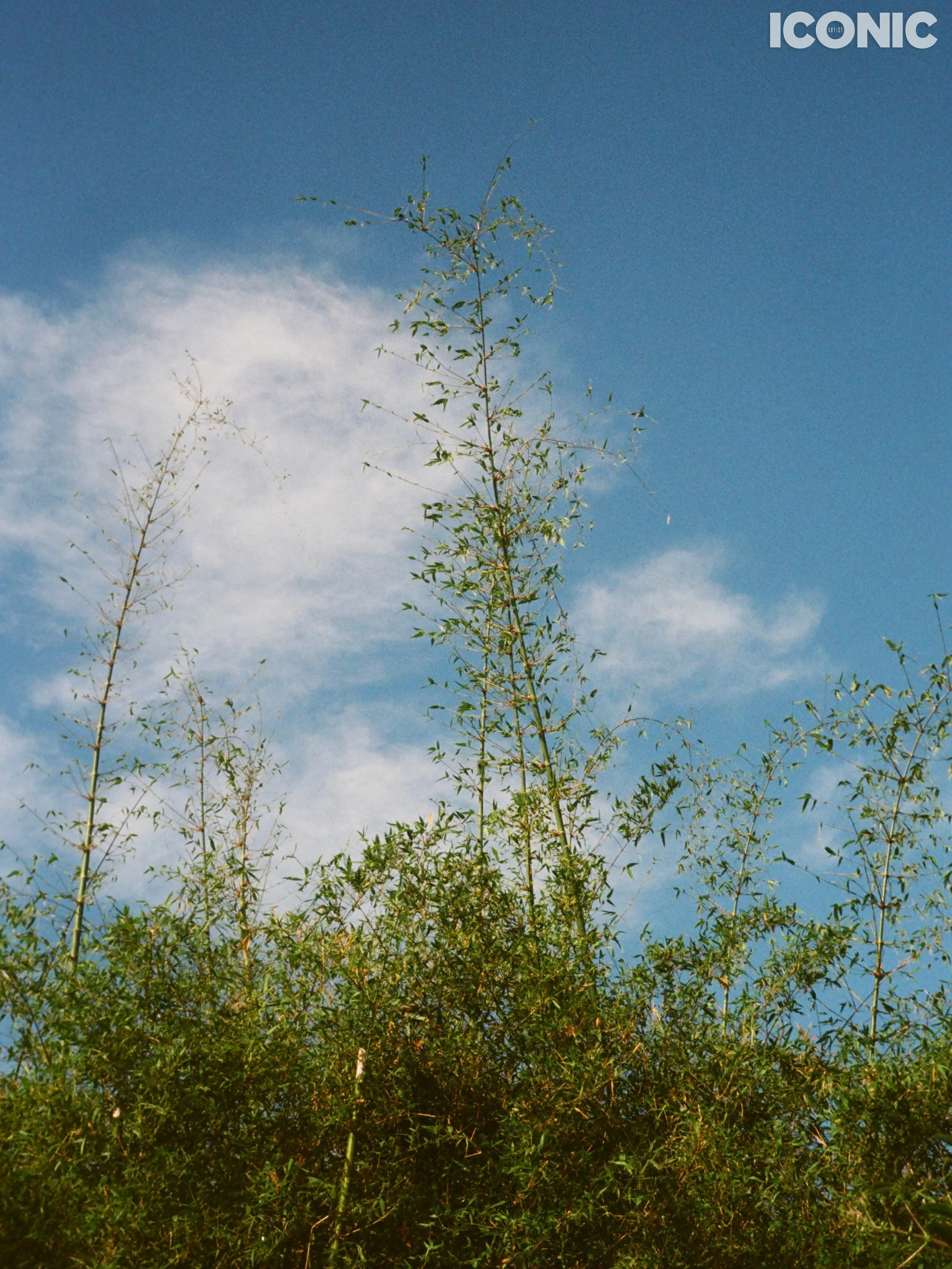 PHOTO BY
Yiwei Bu
.