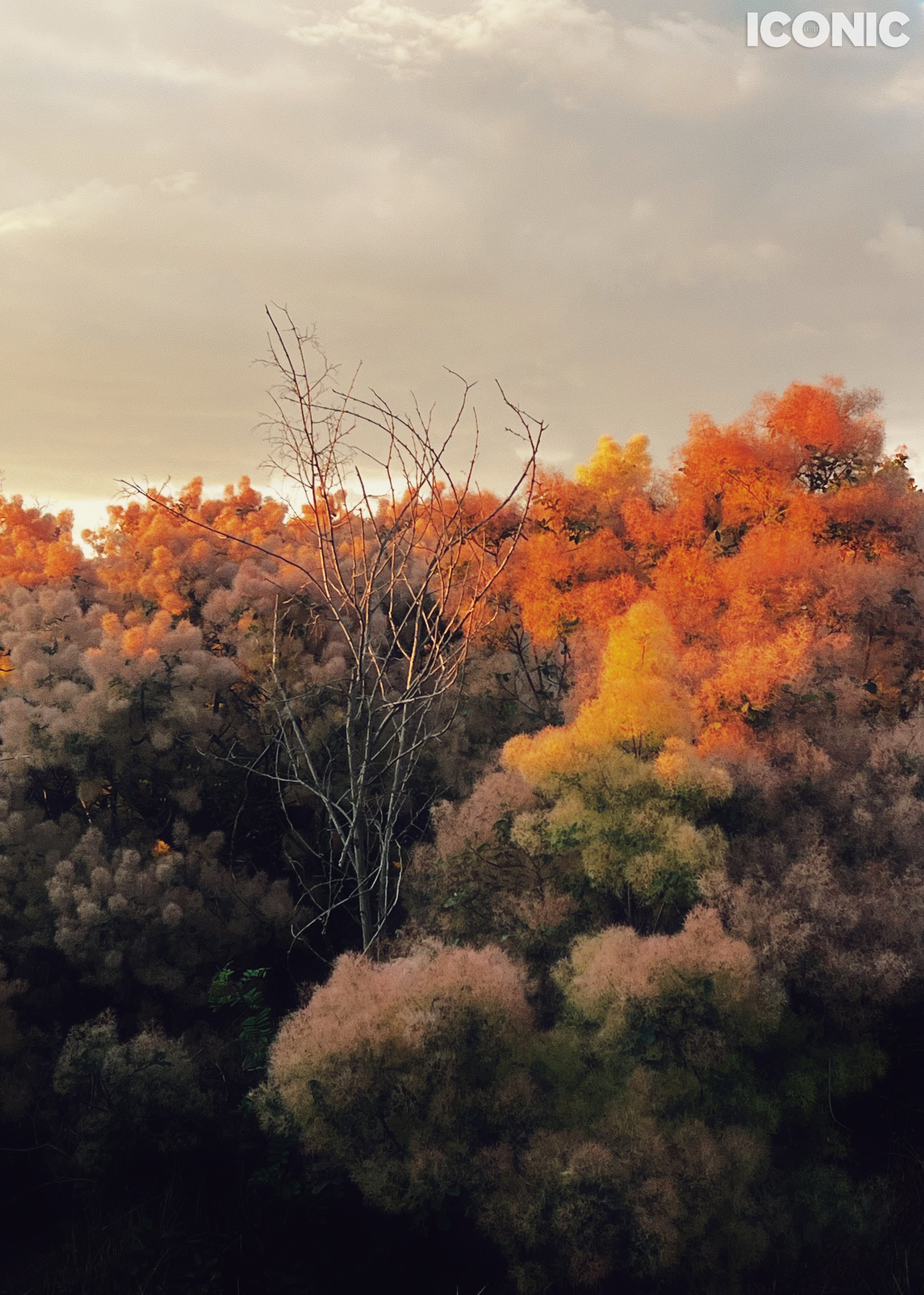 PHOTO BY
Anna Adamenko
.