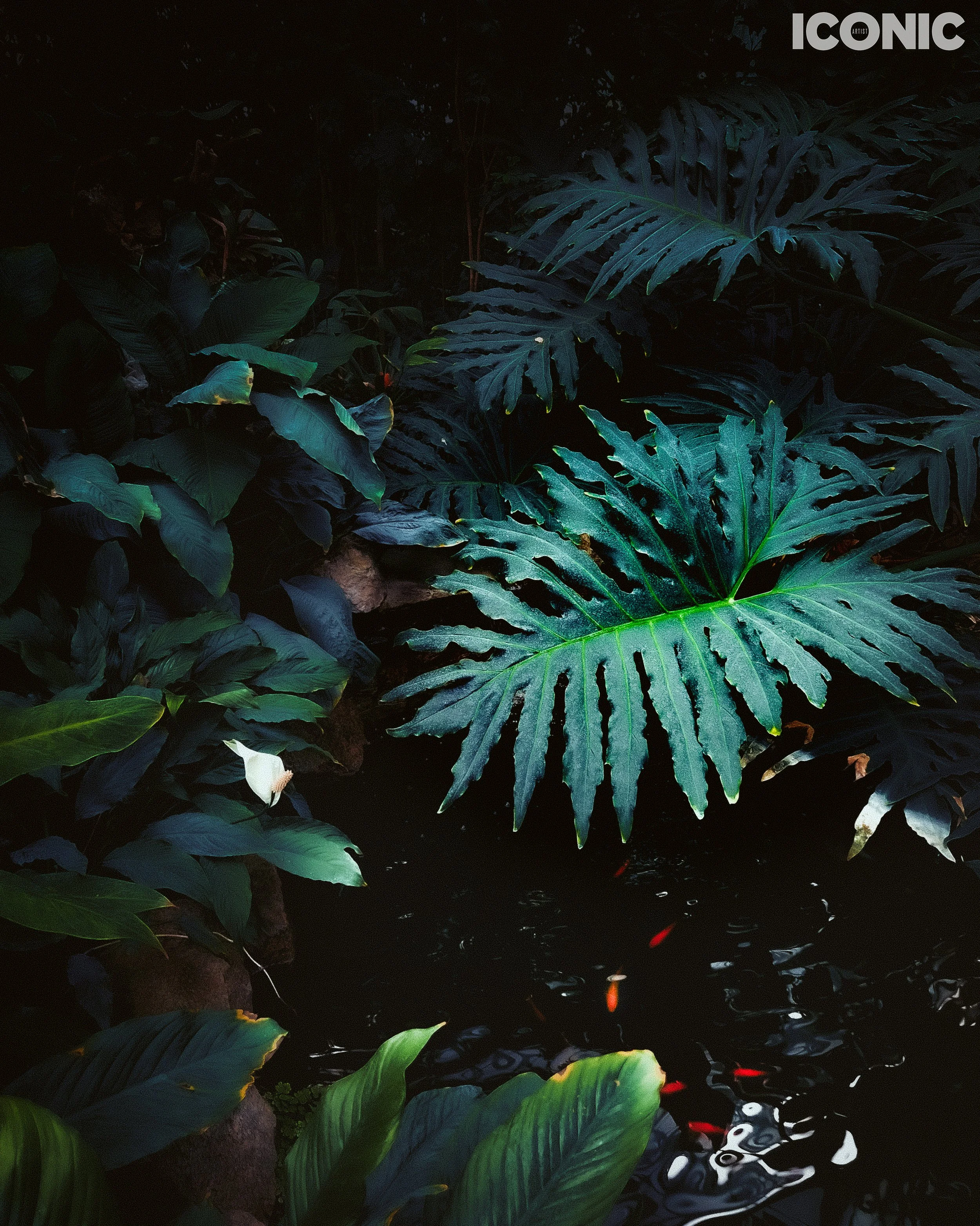 PHOTO BY
Tatiana Diwinski
.