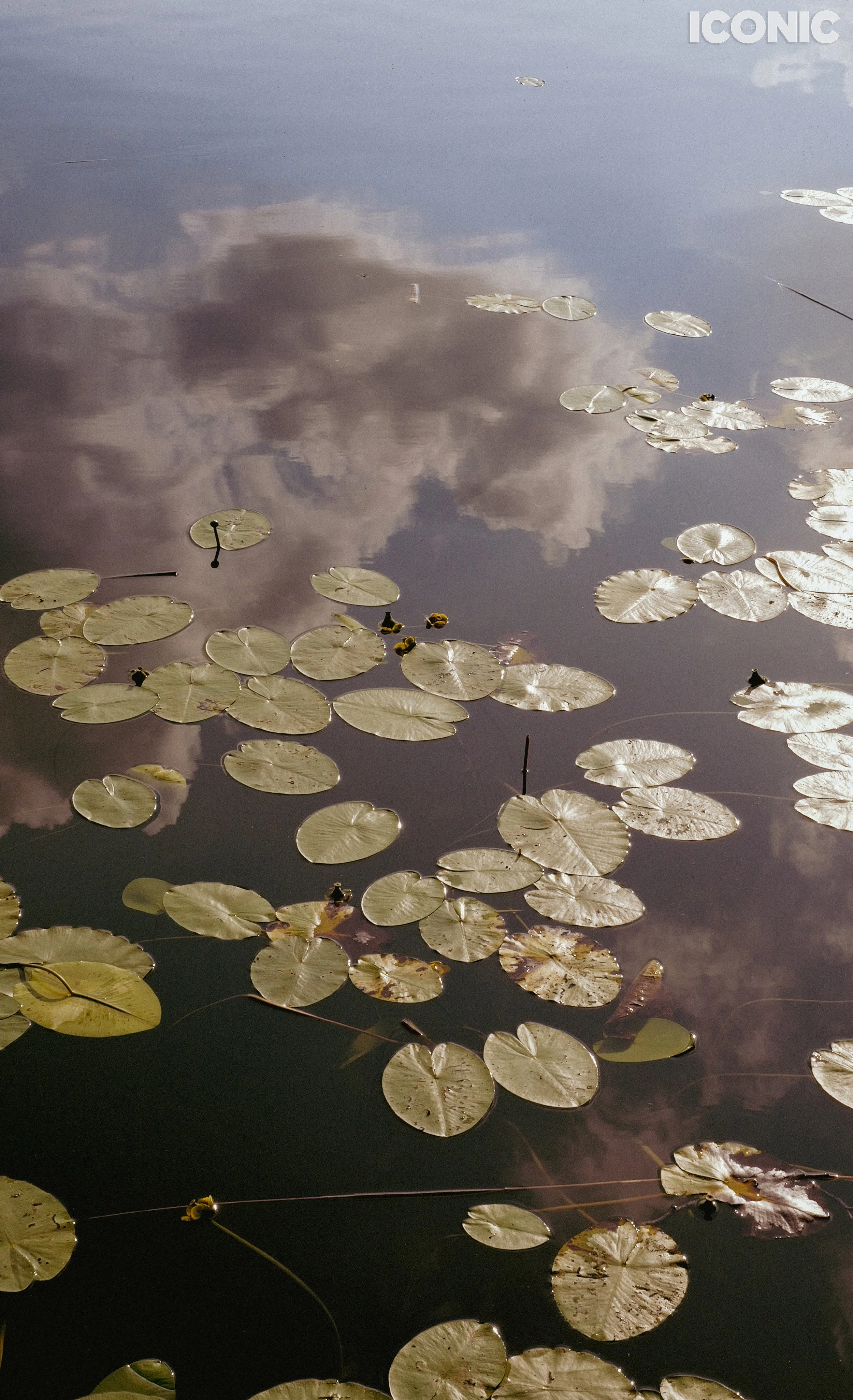 PHOTO BY
Maria Vanaga
.