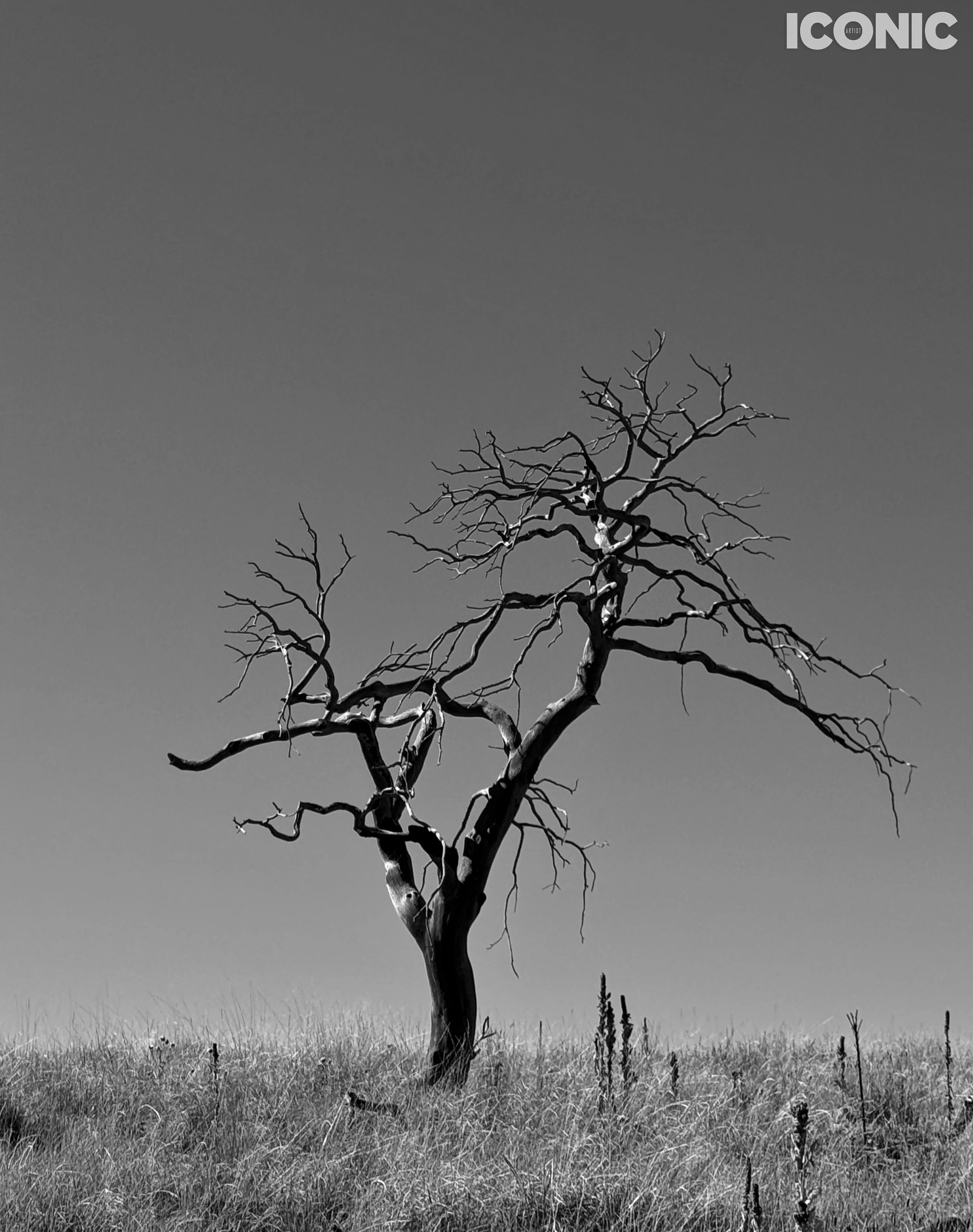 PHOTO BY
Maria Volnova
.