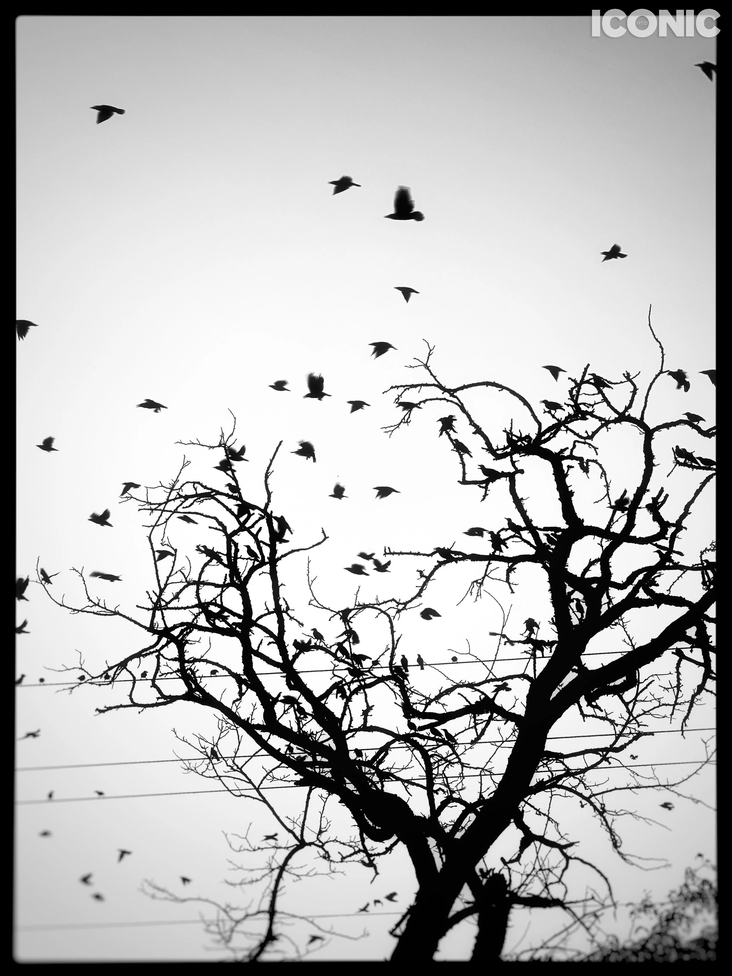 PHOTO BY
Anna Adamenko
.