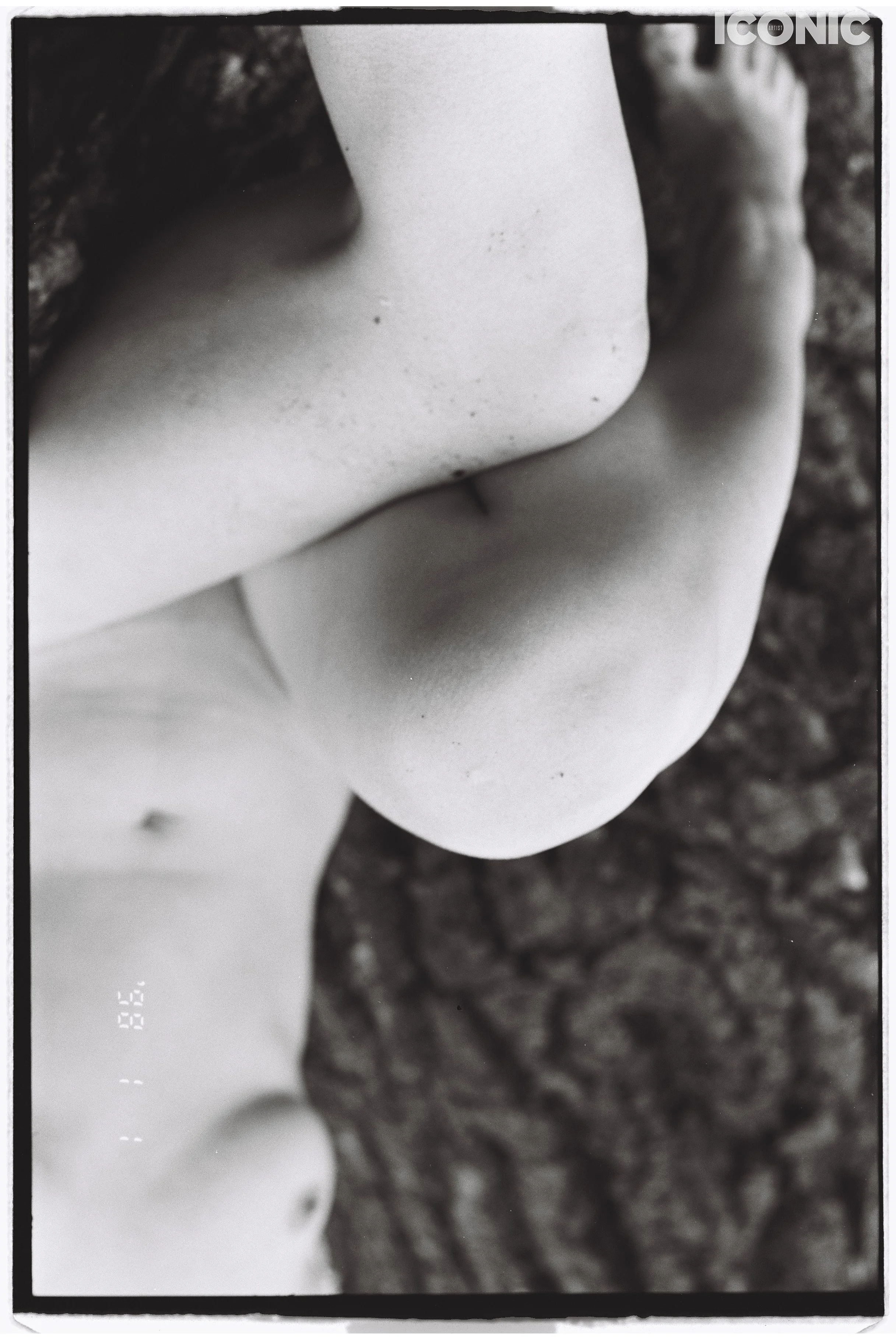 PHOTO BY
Ekaterina Bazhul
.