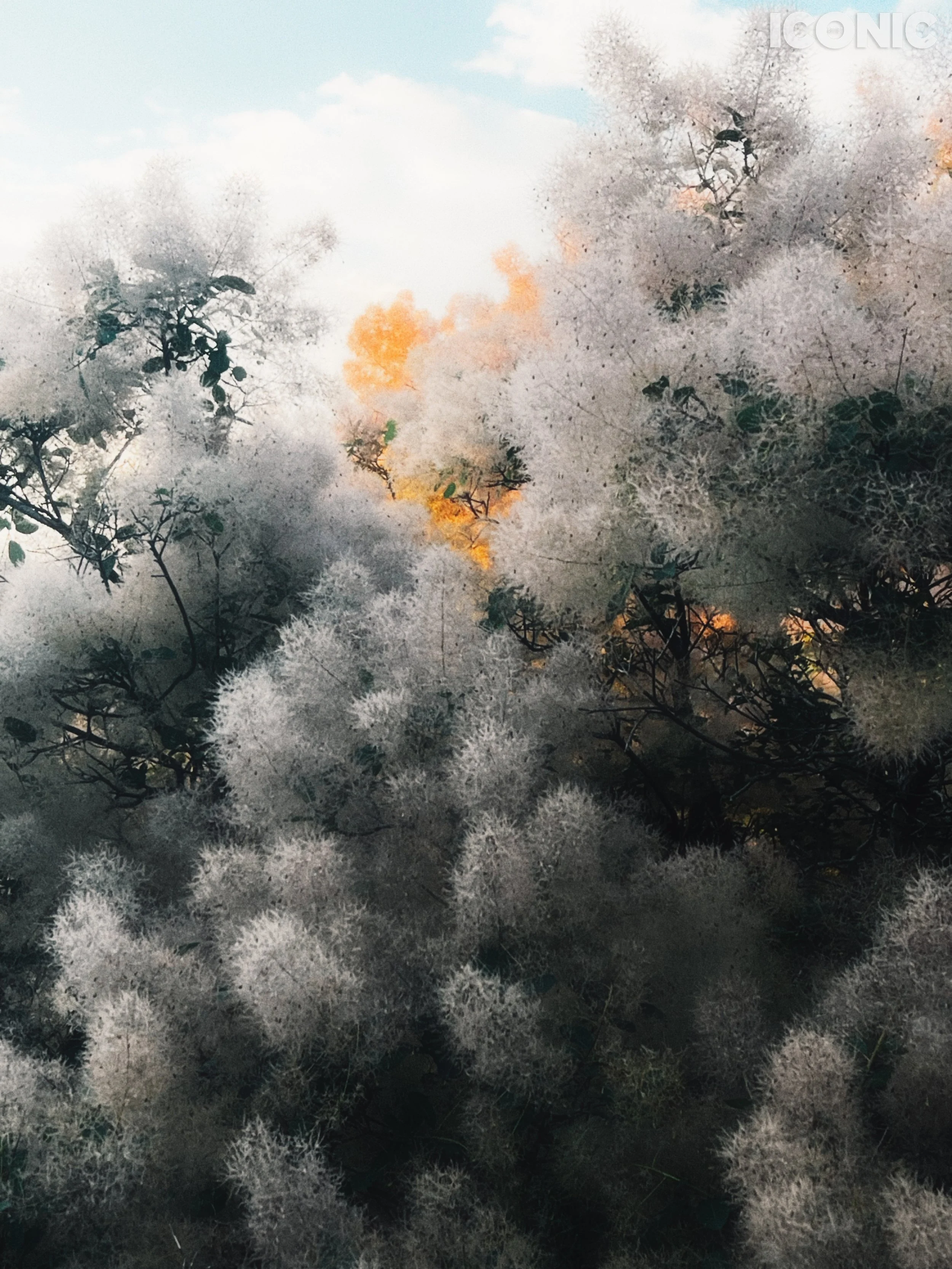 PHOTO BY
Anna Adamenko
.