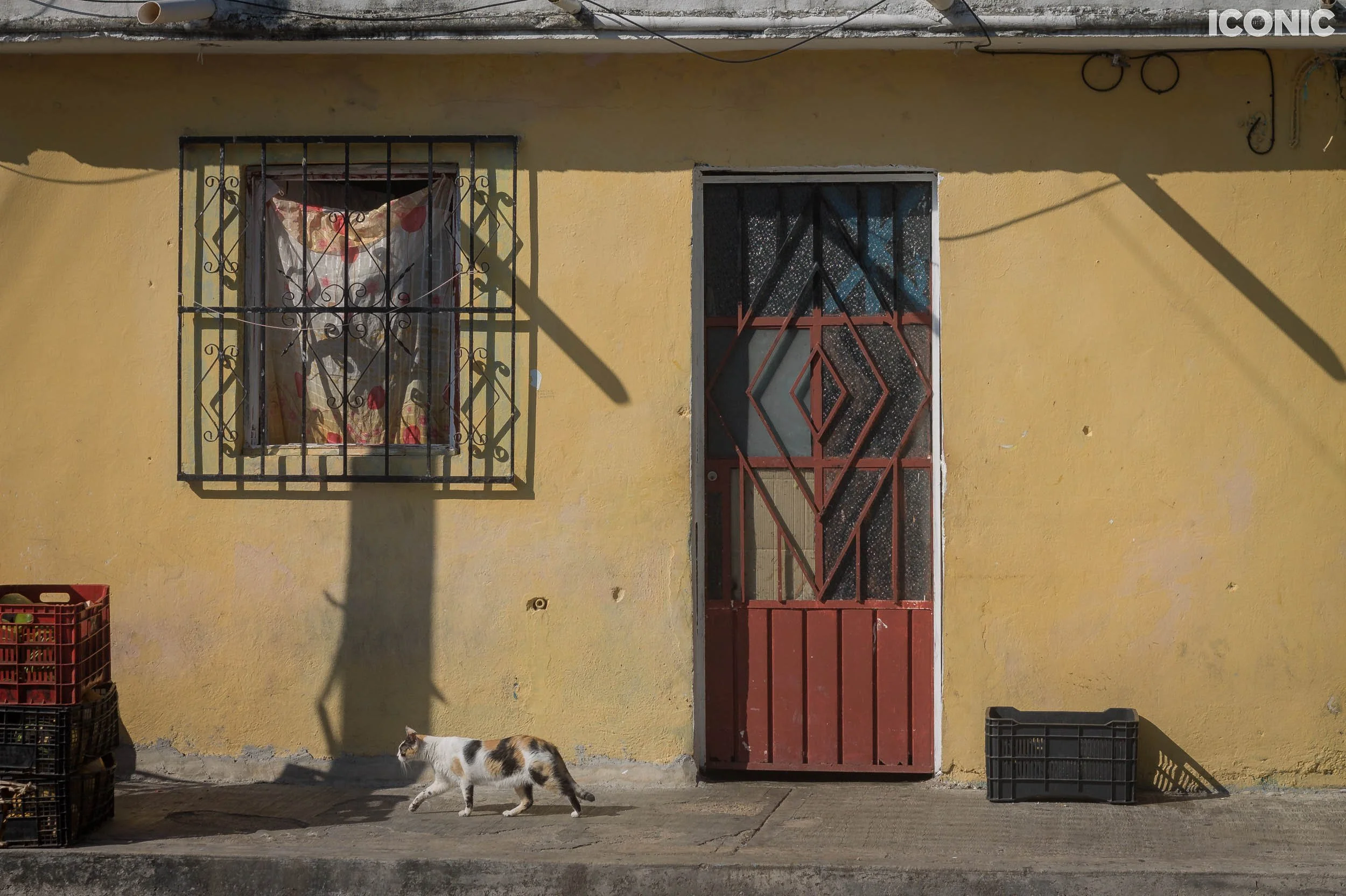 PHOTO BY
Rita Piludu
.