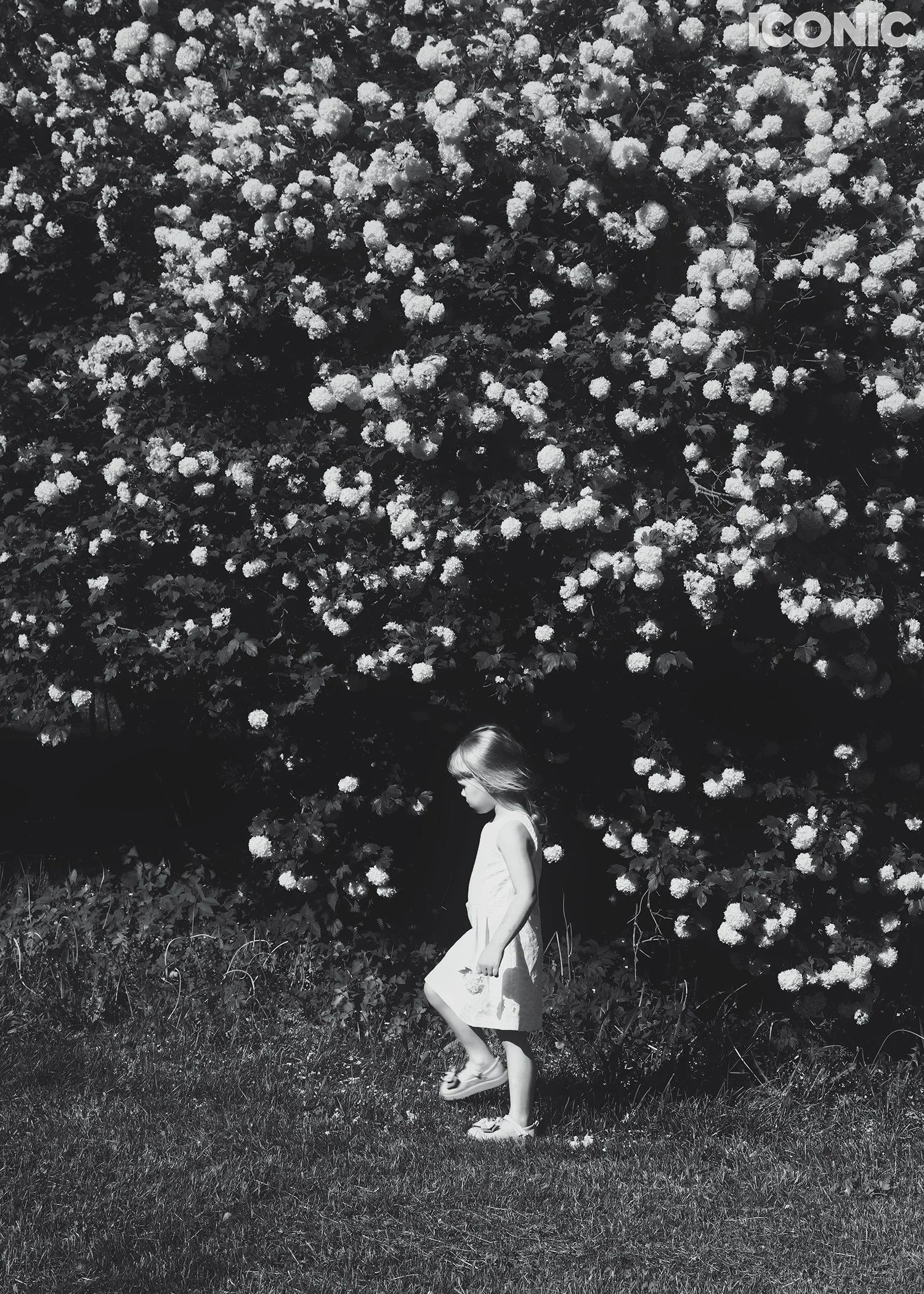 PHOTO BY
Natalya Zaytseva
_