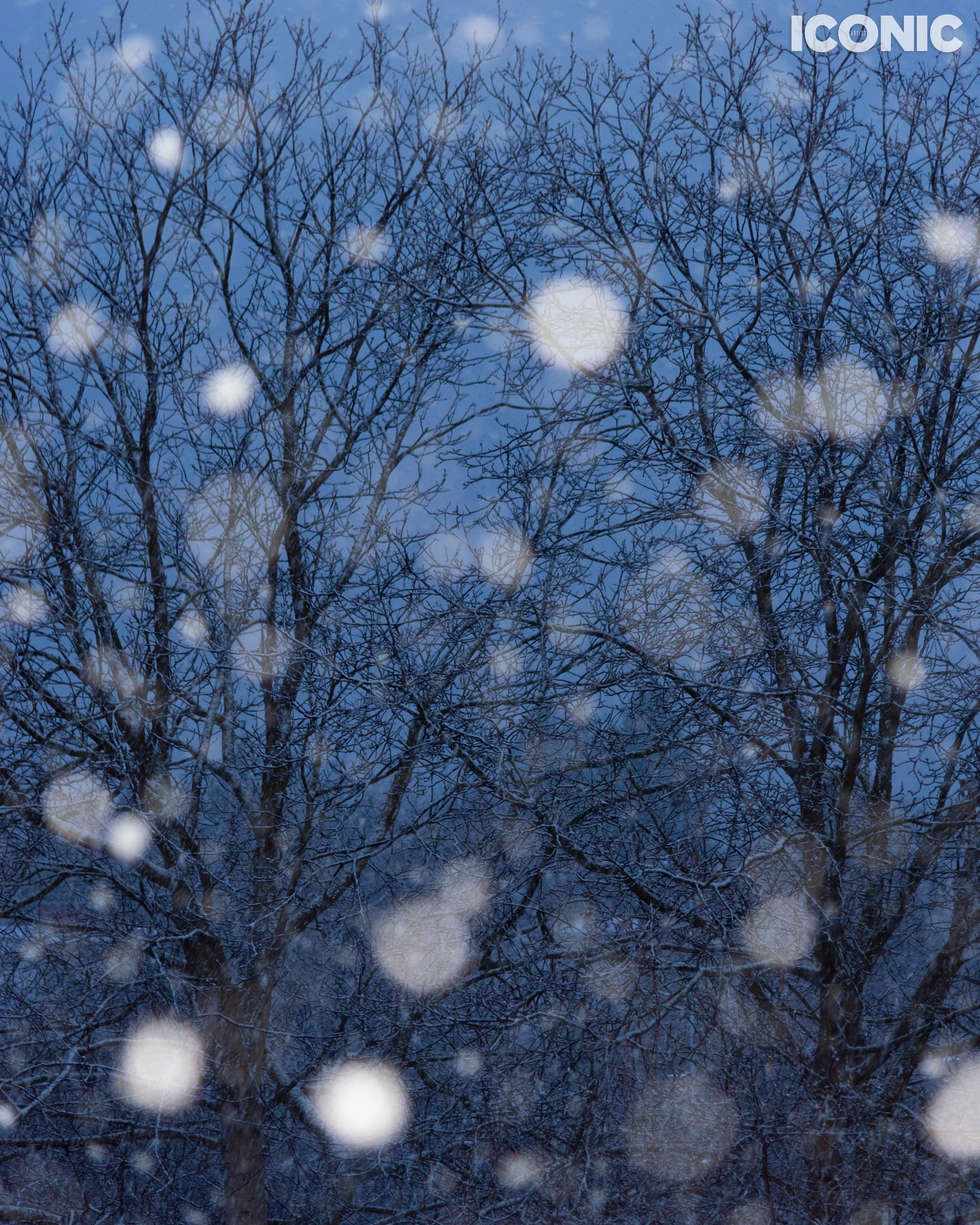 PHOTO BY
Agnieszka Morawska
.