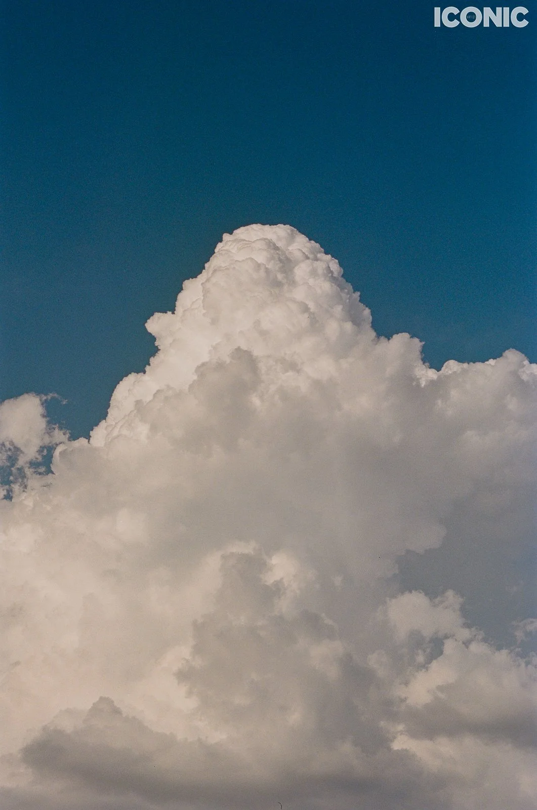 PHOTO BY
Anna Leonidov
.