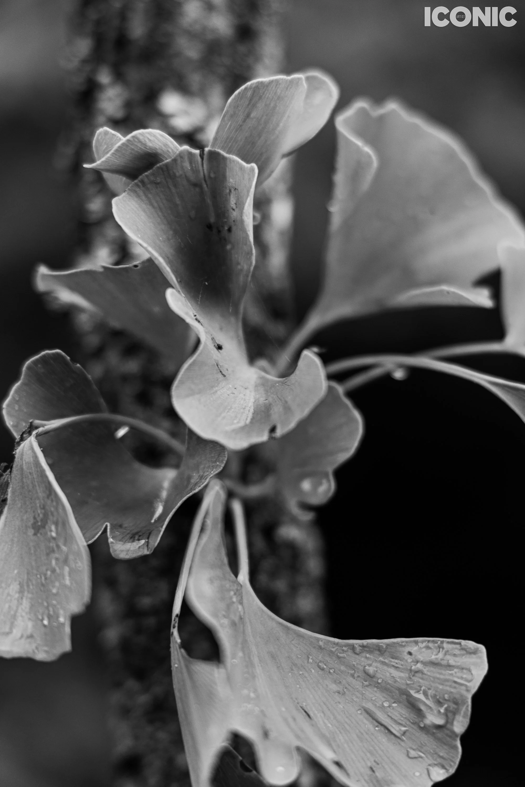 PHOTO BY
Olga Tarabukina
.