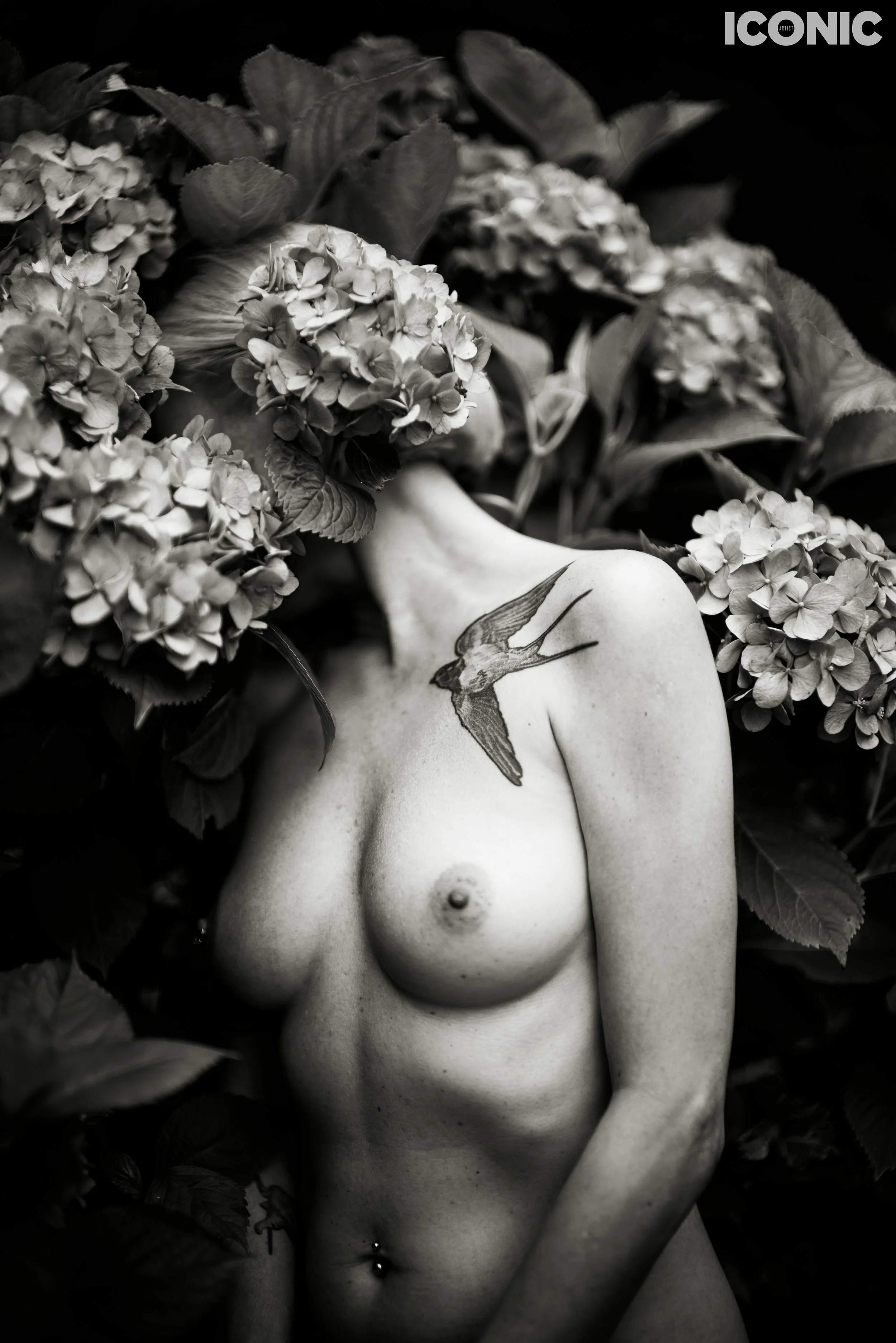 PHOTO BY
Dorota Górecka
.