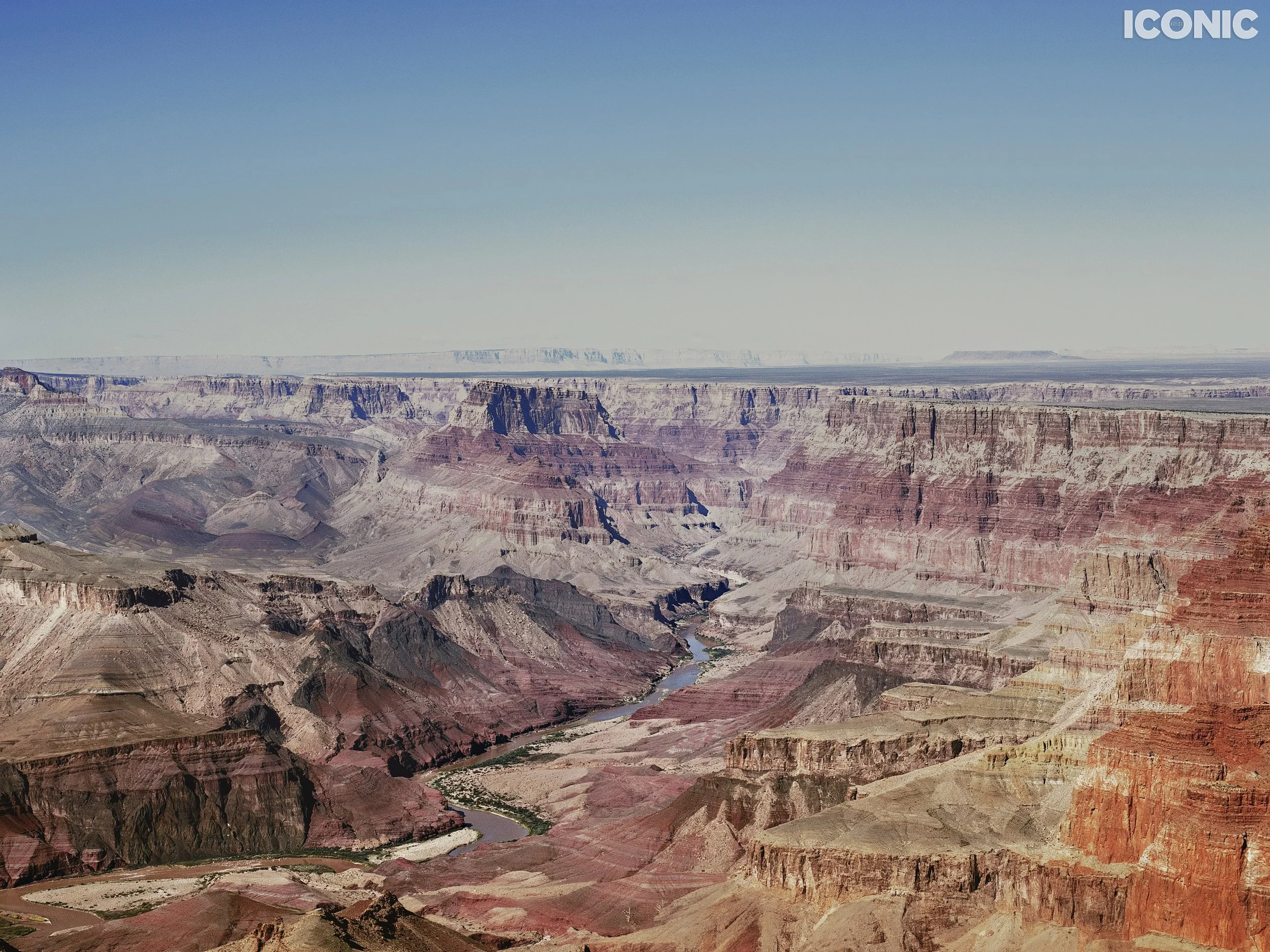 PHOTO BY
Iryna Timofeeva
.