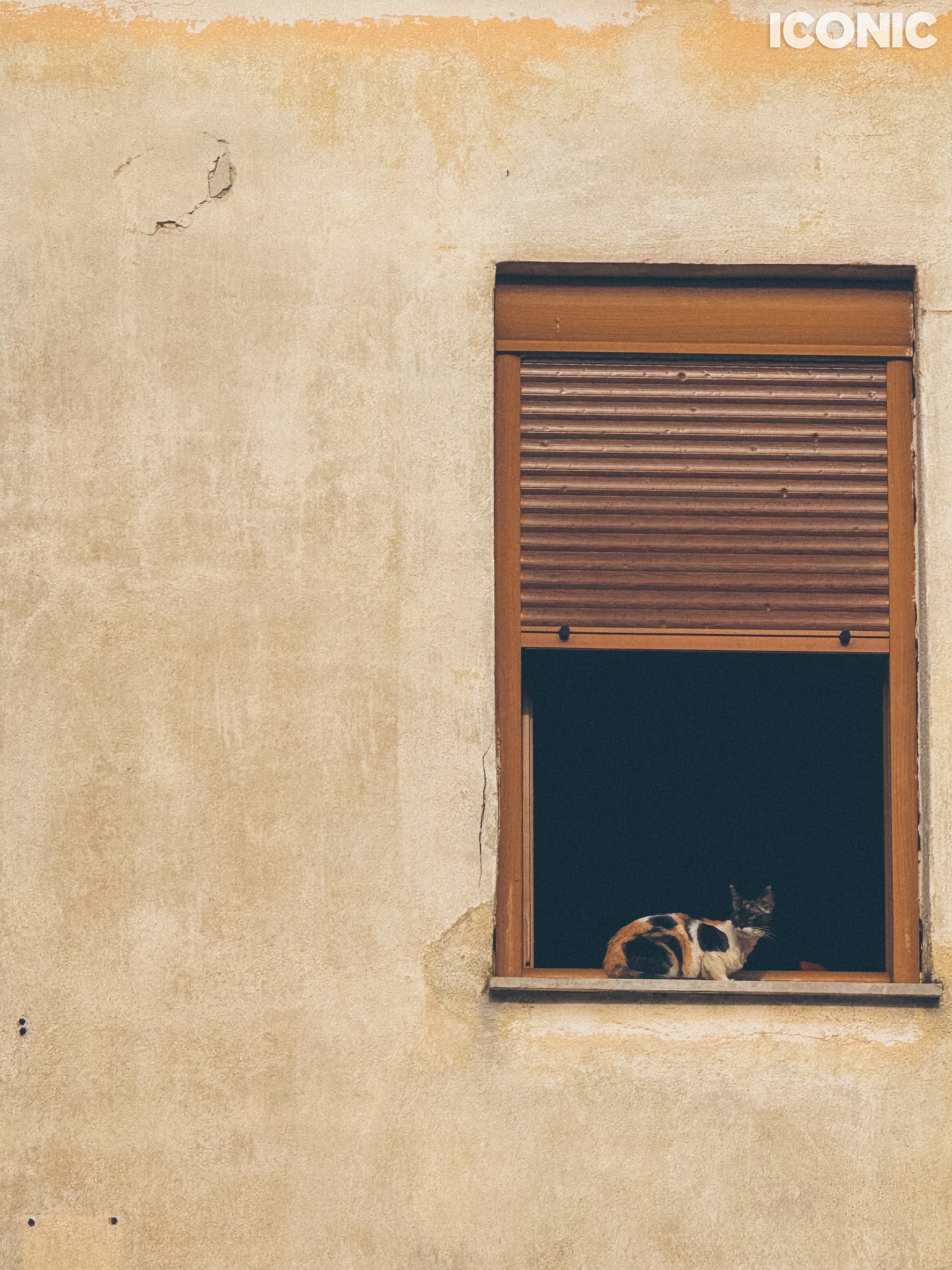 PHOTO BY
Natalia Erez
.