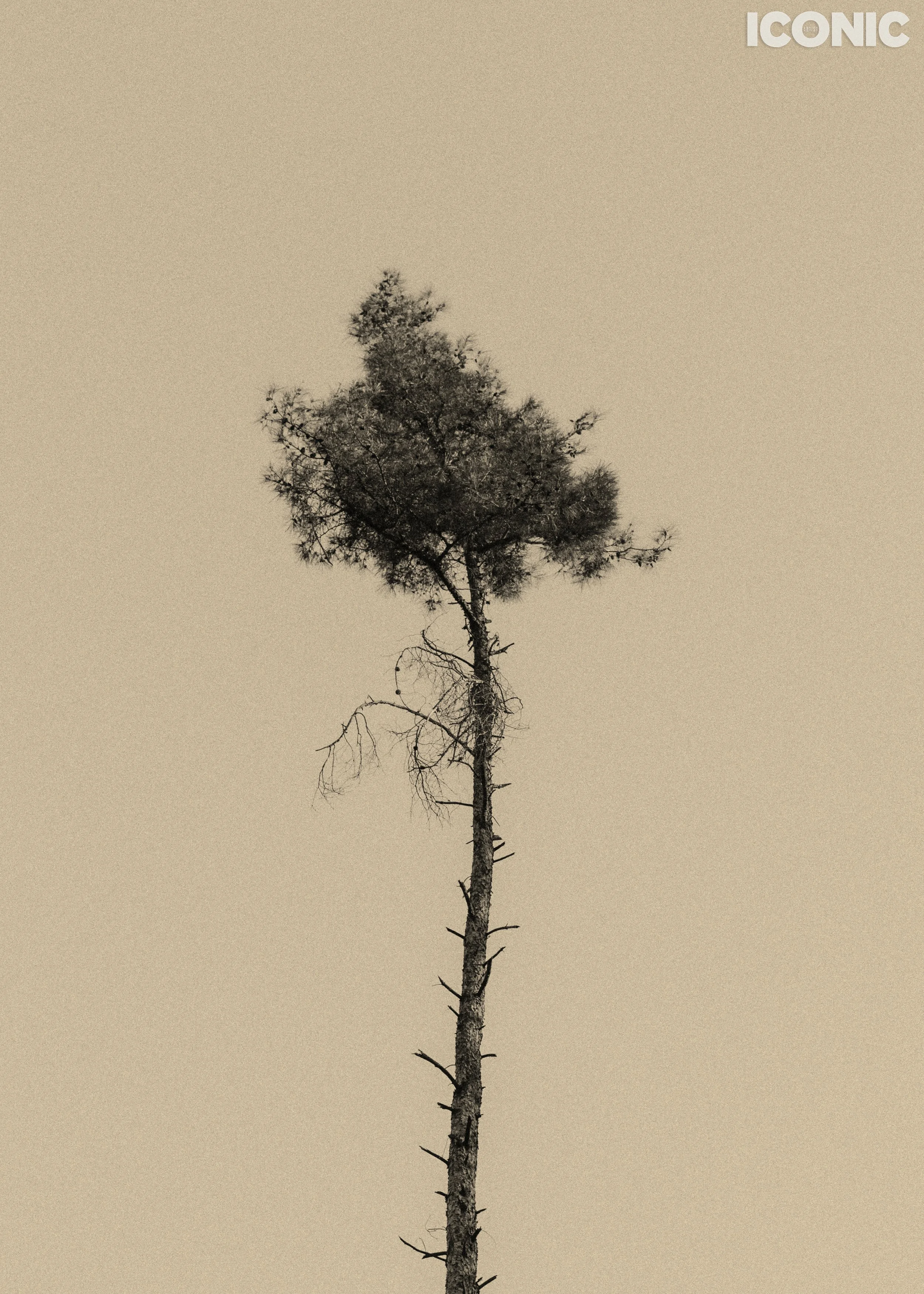 PHOTO BY
Anna Strelzov
.