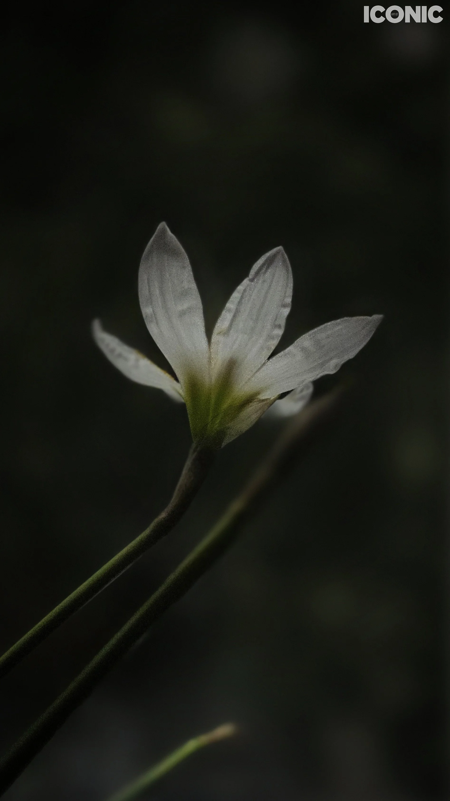 PHOTO BY
Aleksandra Kropivka
.