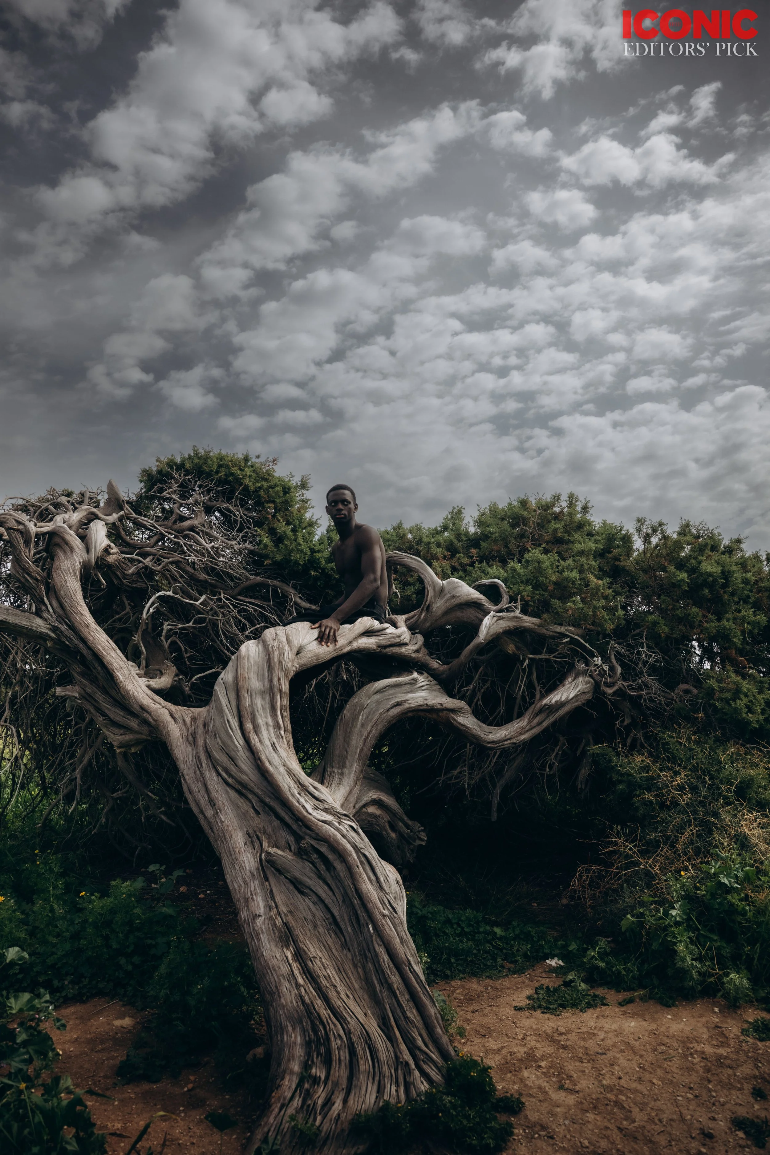 PHOTO BY
Lena Boga
.