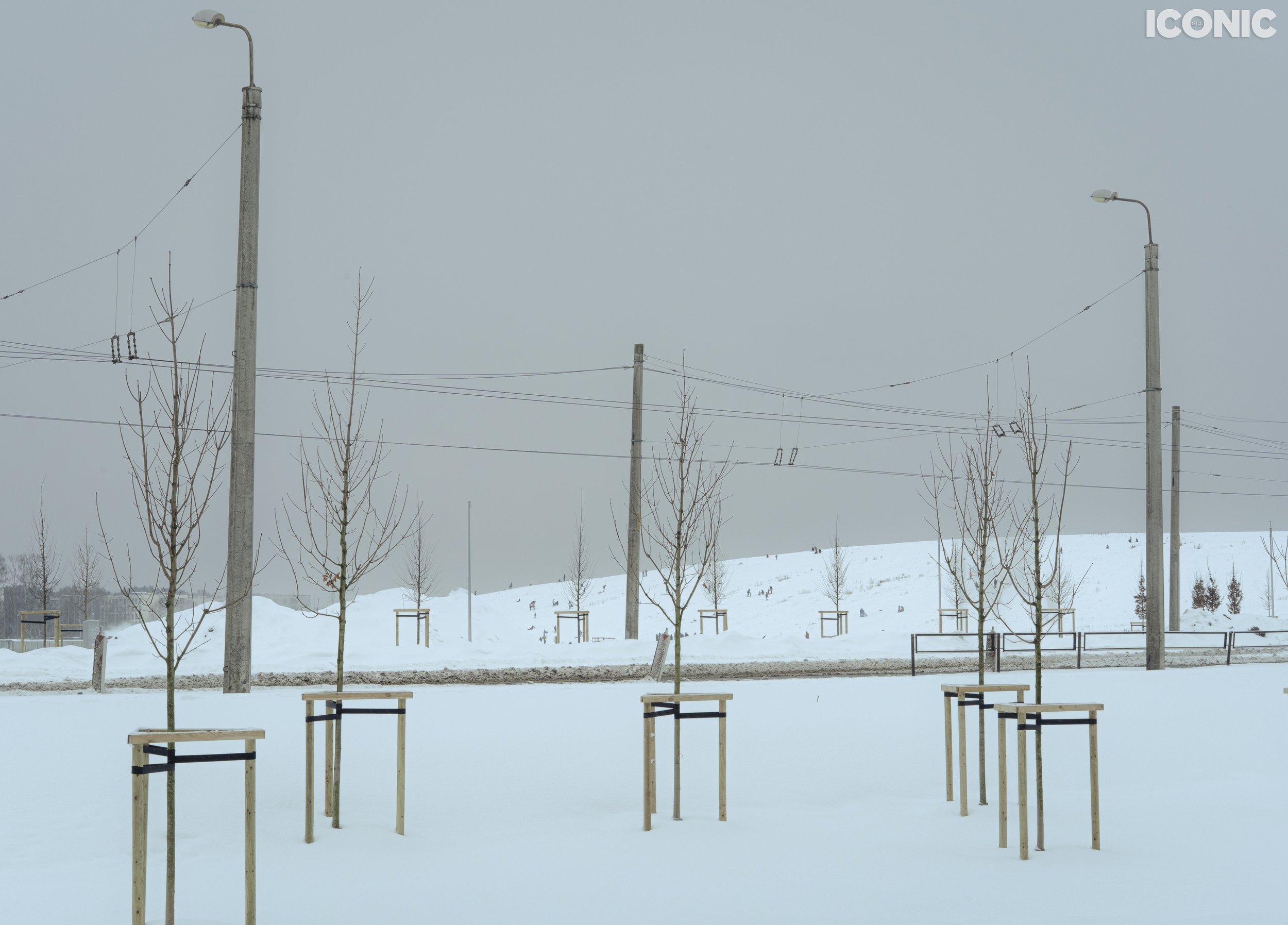 PHOTO BY
Natalia Pitirimova
.